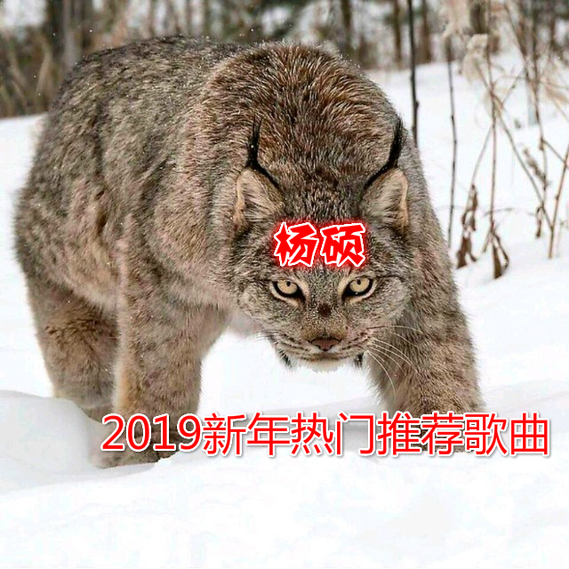 2019新年热门推荐歌曲