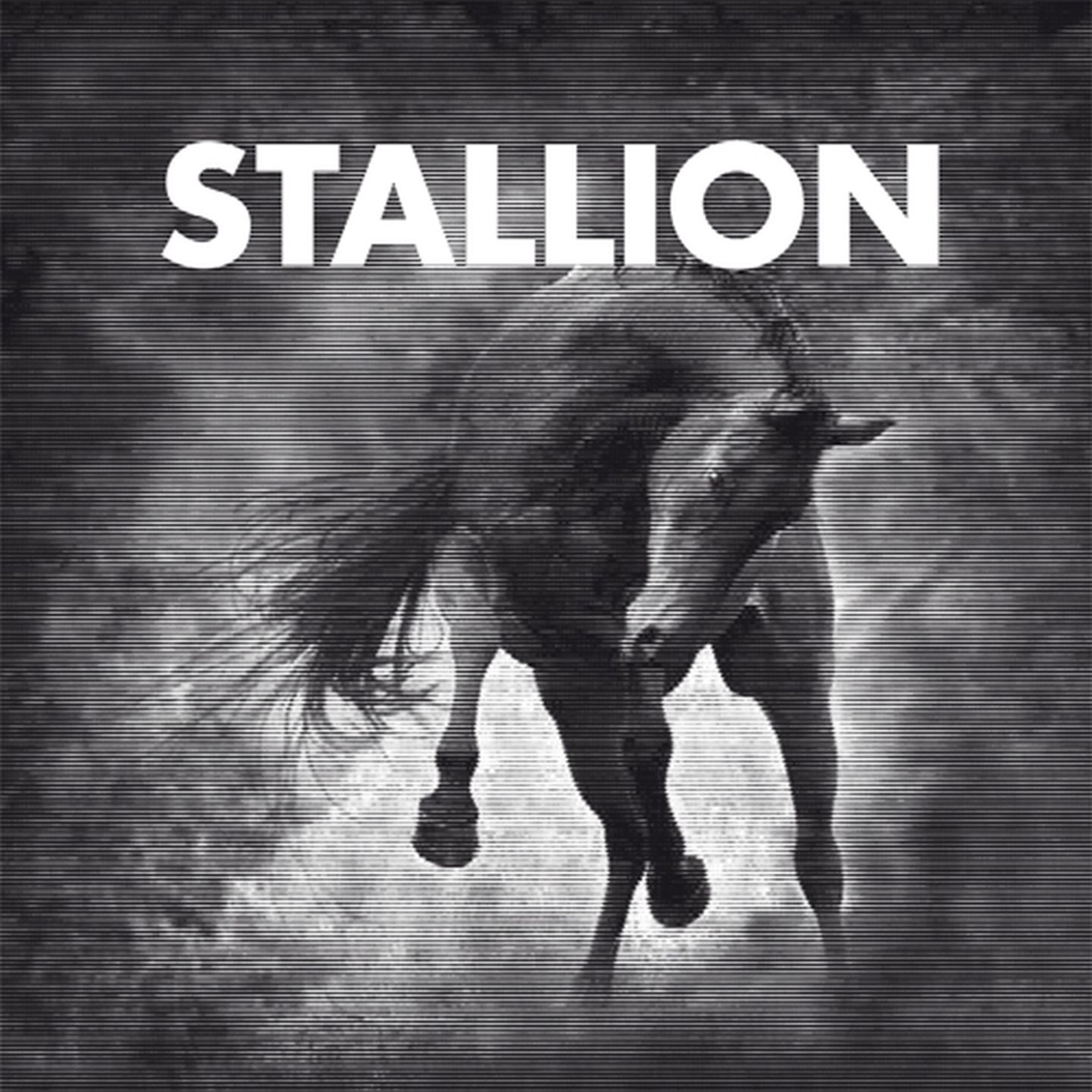 Stallion #1 (Original Mix)