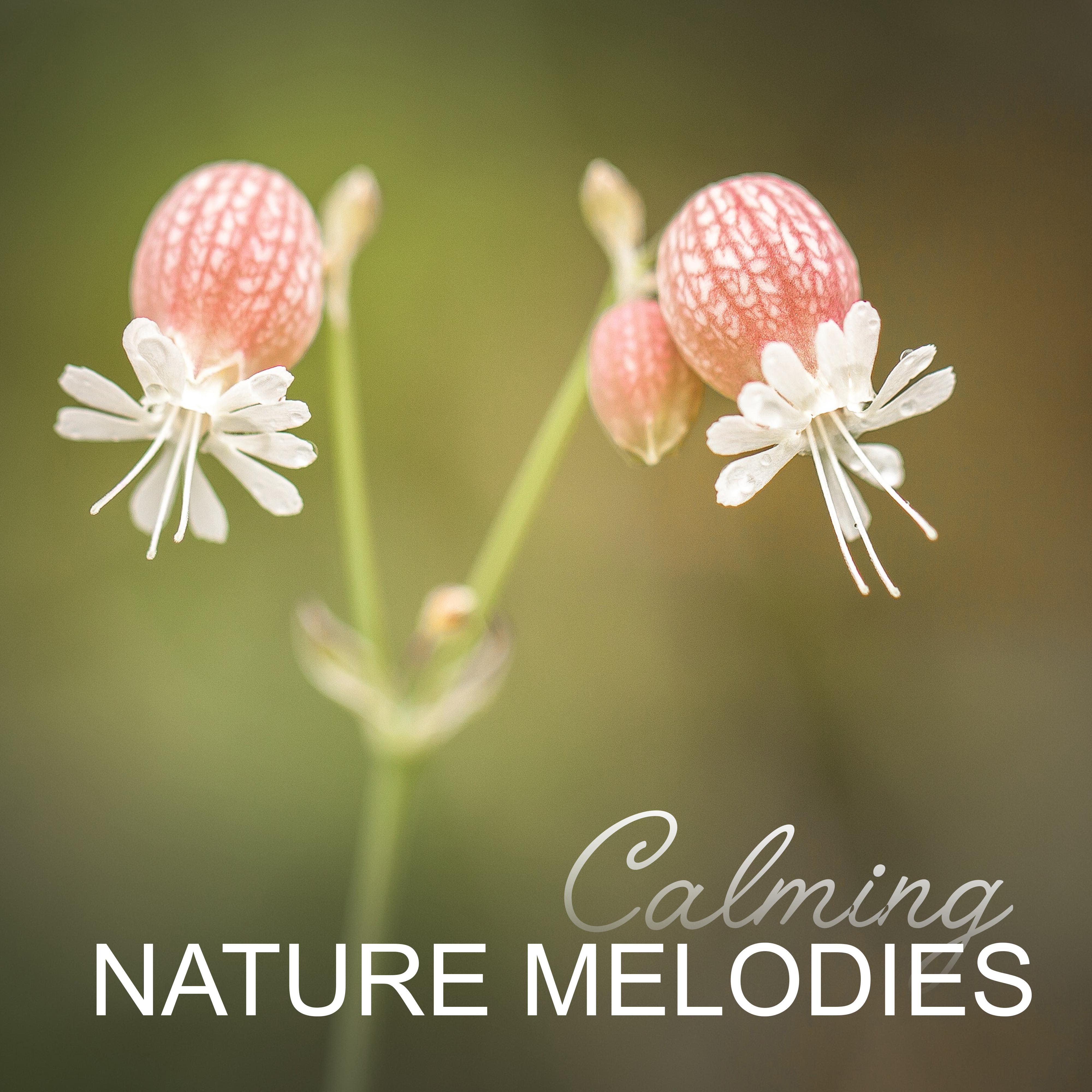 Calming Nature Melodies