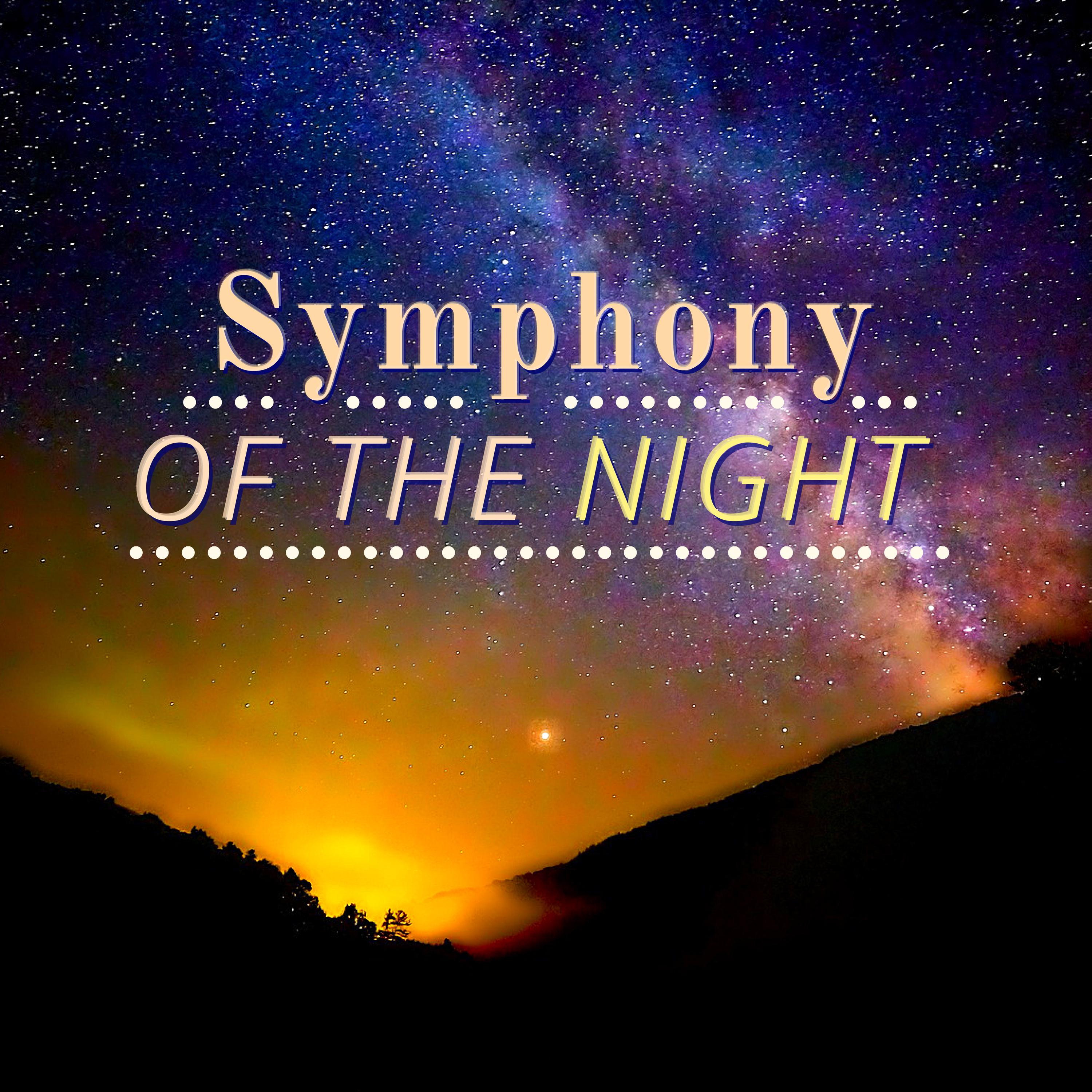 Symphony of the Night - Nature Ambience