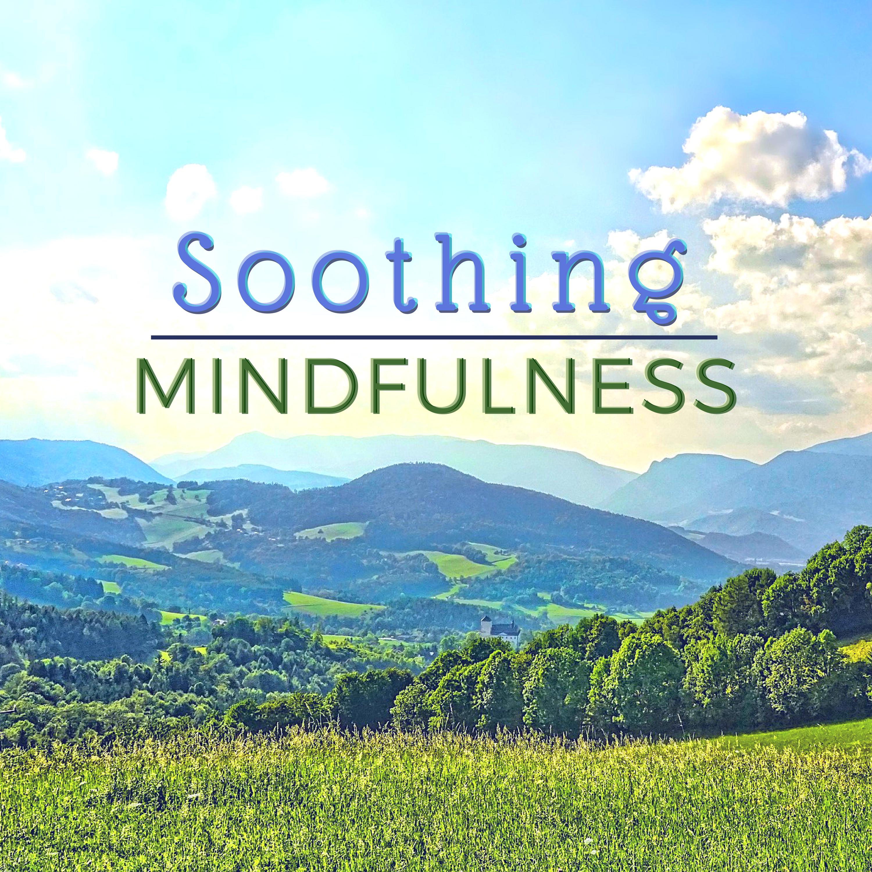 Soothing Mindfulness - Relaxing Meditation Music