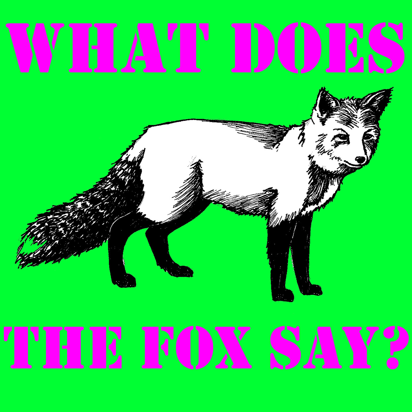 What Does The Fox Say?