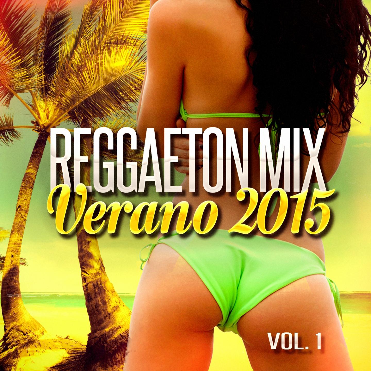 Reggaeton Mix Verano 2015