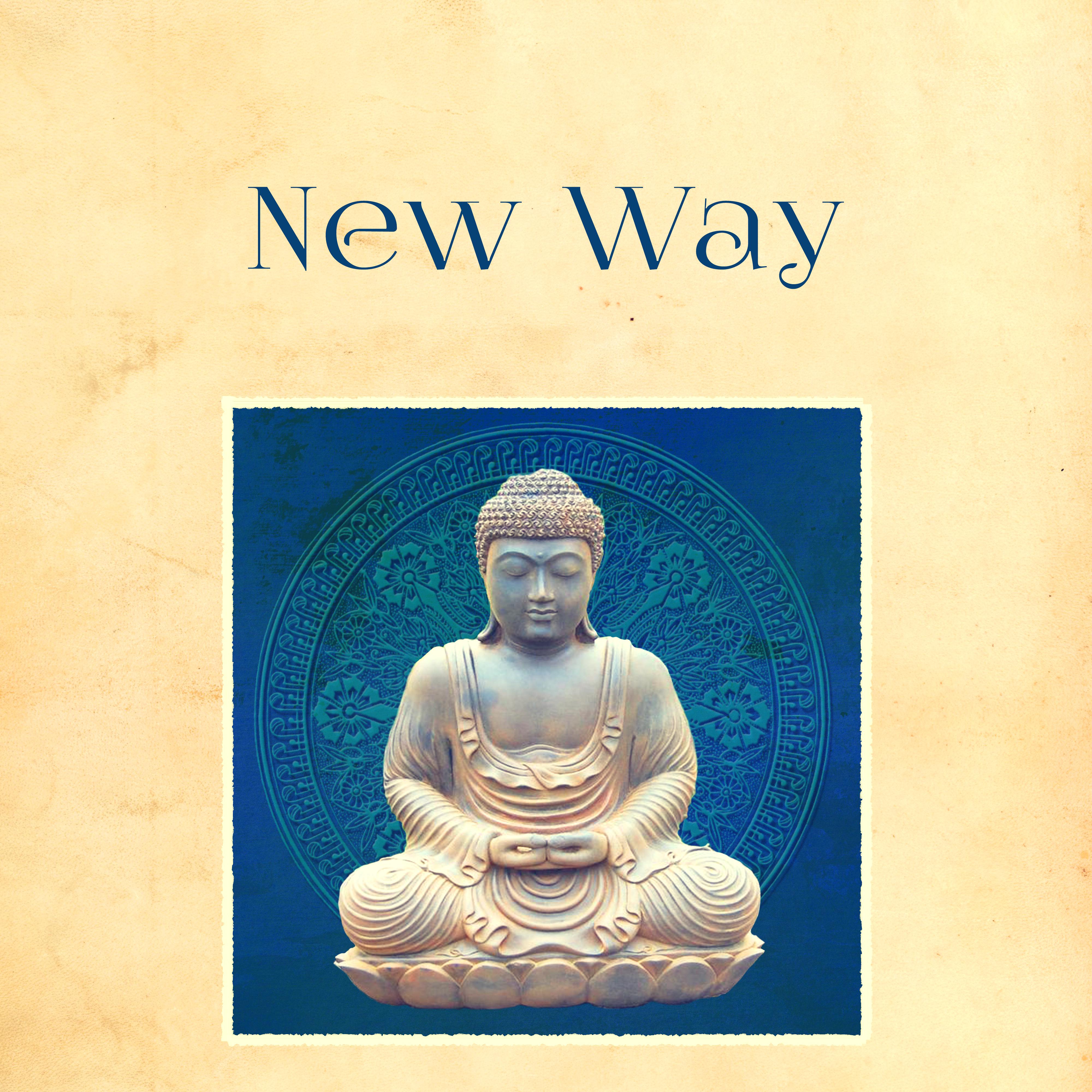 New Way - New Path, Thinking, Major Focus, Struggle for Happiness