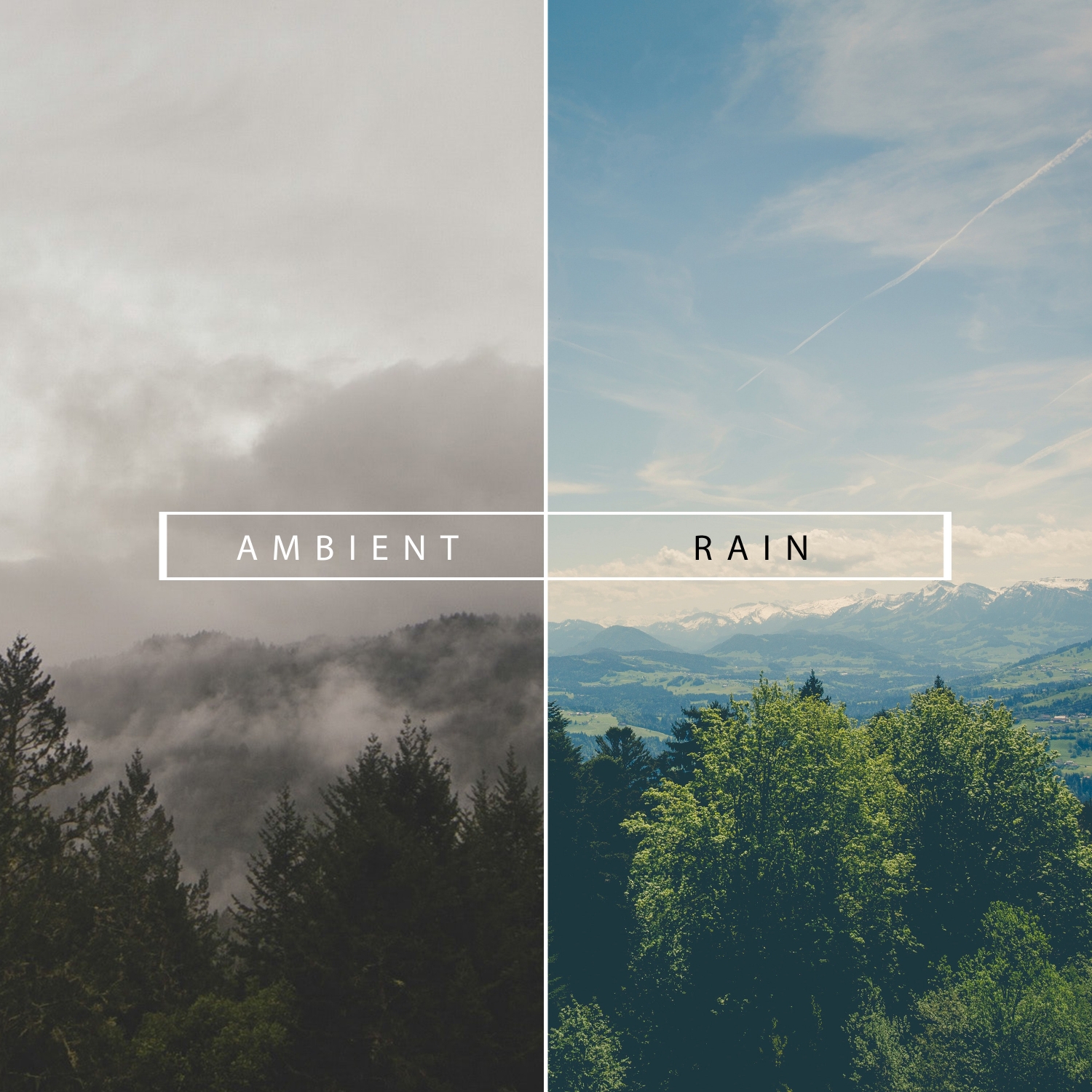 2017 Ambient Rain and Nature Sounds