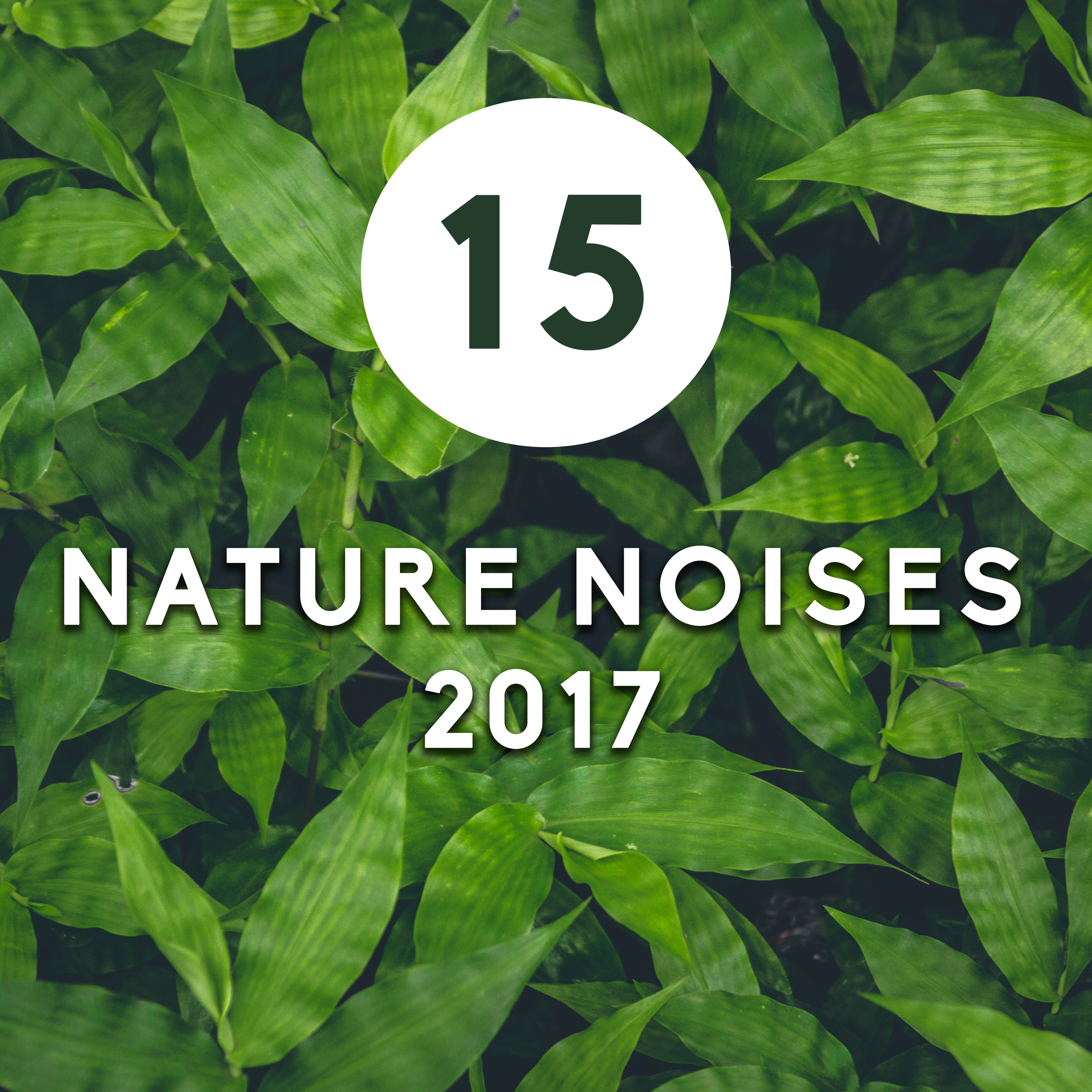 15 Nature Noises 2017