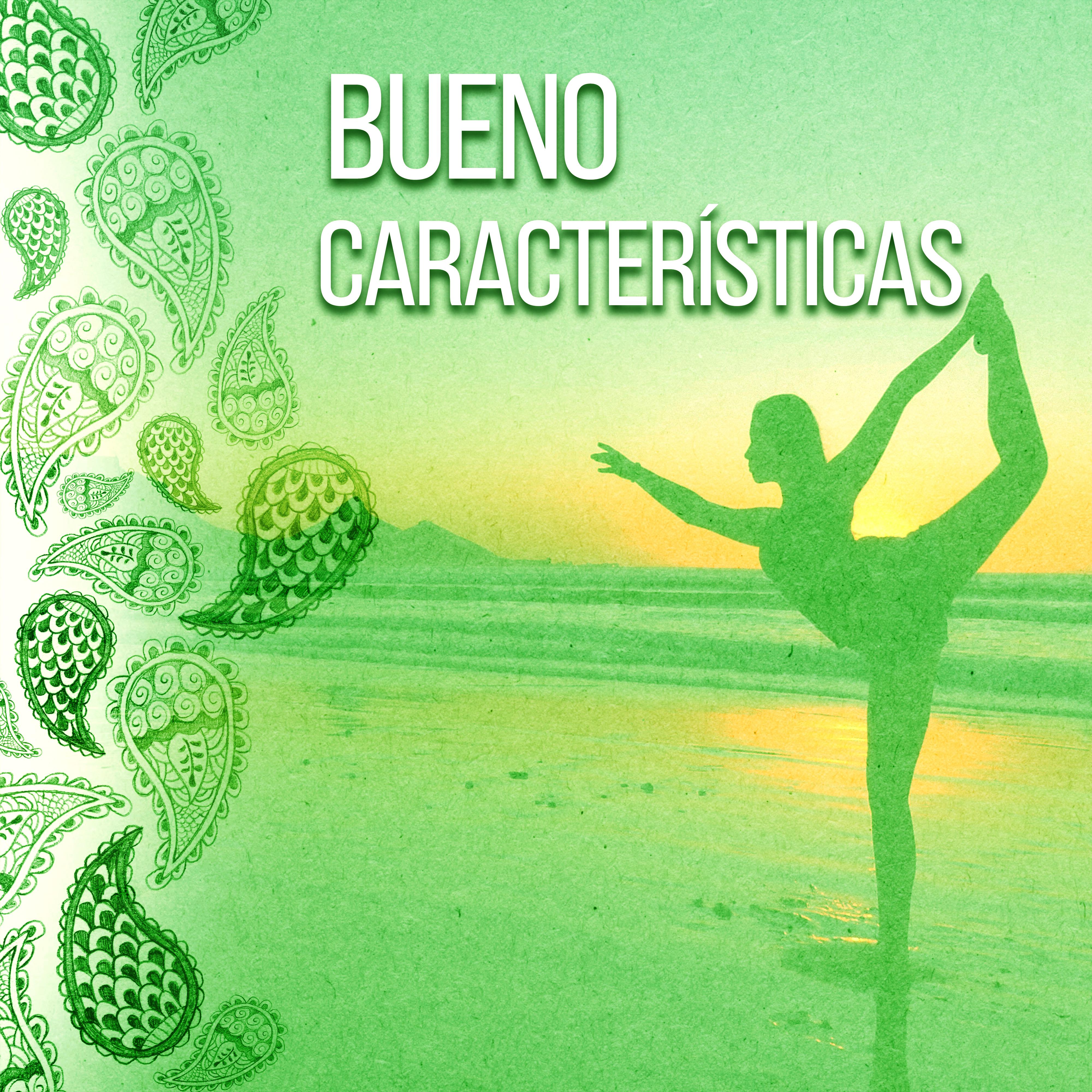 Bueno Características – Amor, Franqueza, Ejercicios, Equilibrio, Armonía, Poder, Fuerza, Como la Vida