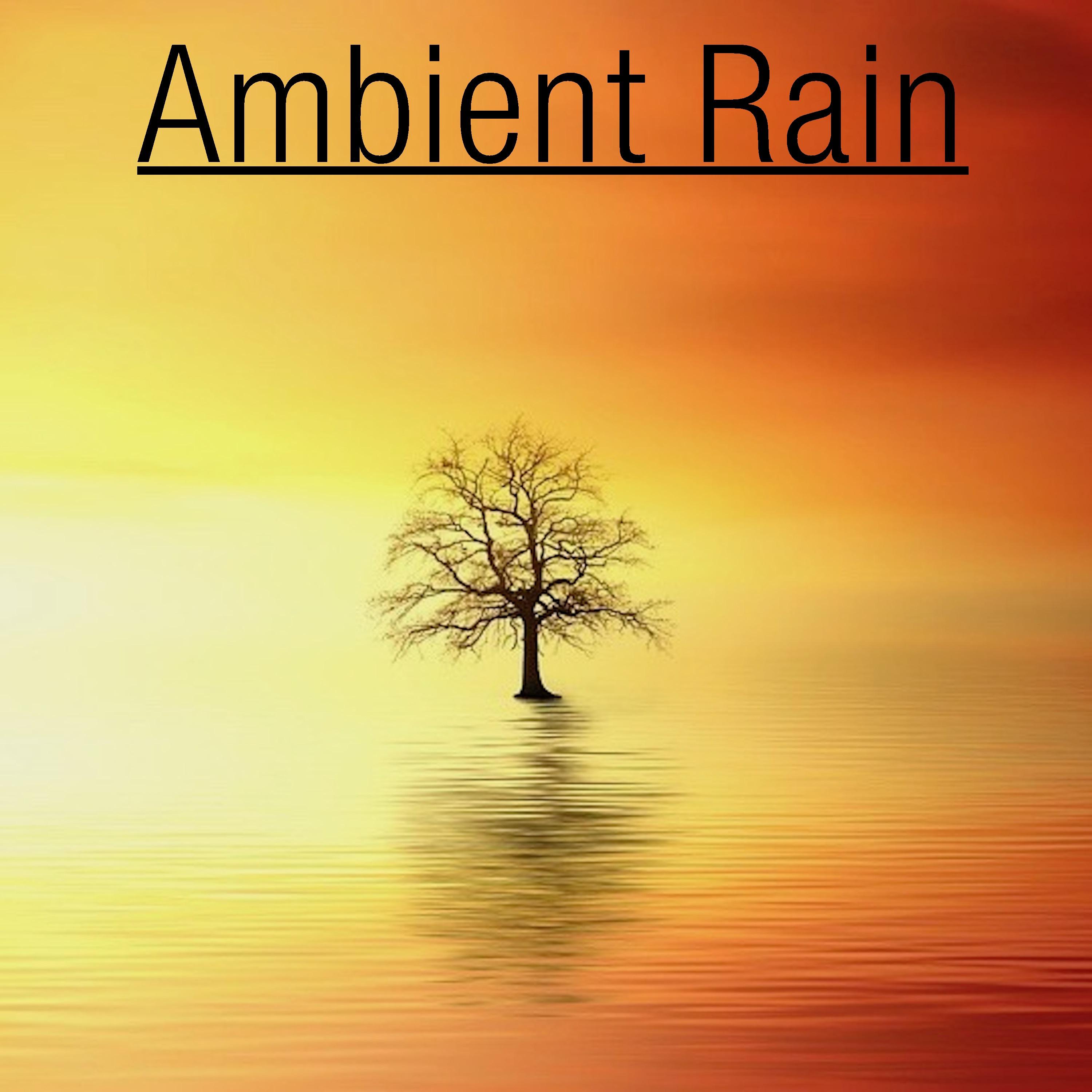 17 Ambient Rain Noises for Sleep & Spa