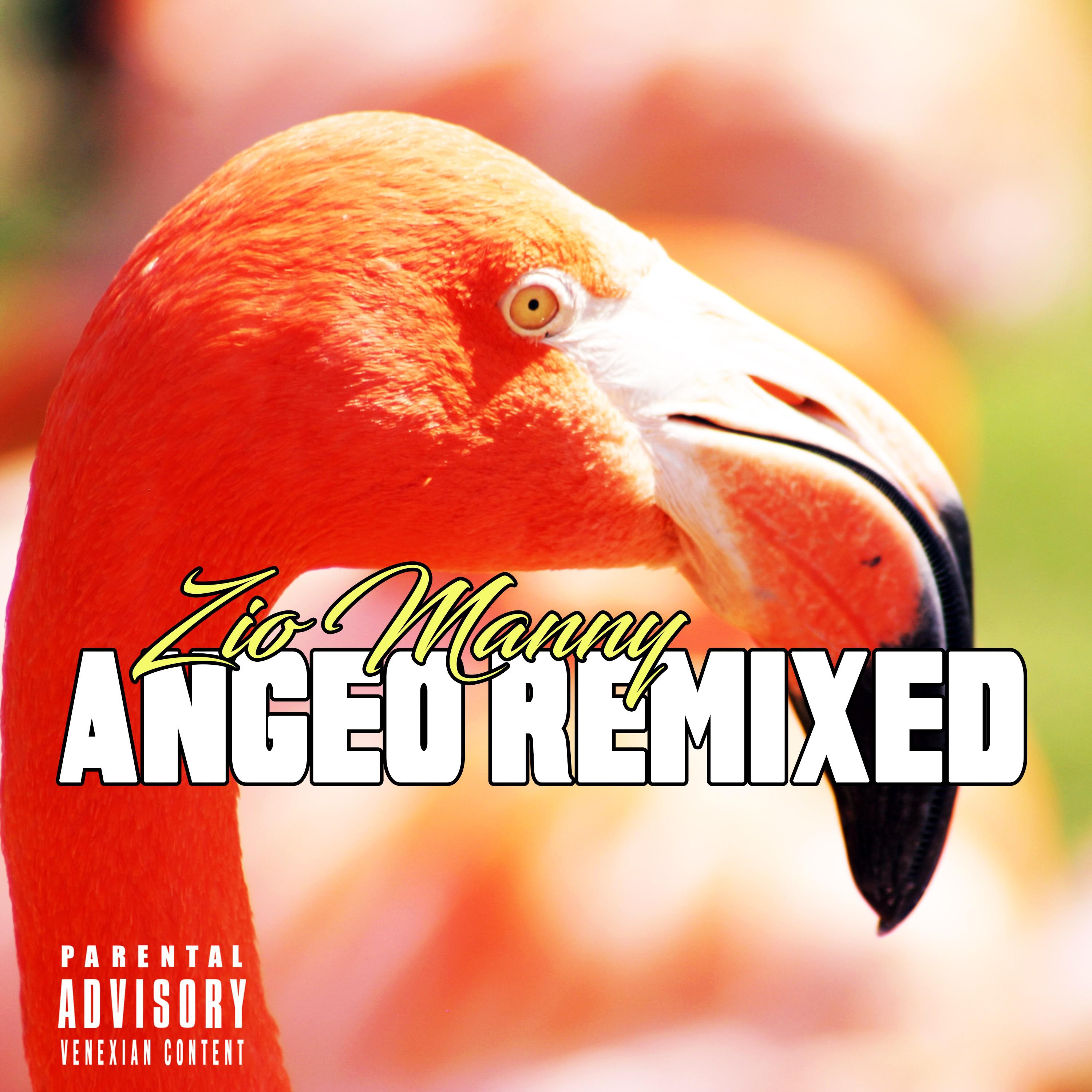 Angeo Remixed