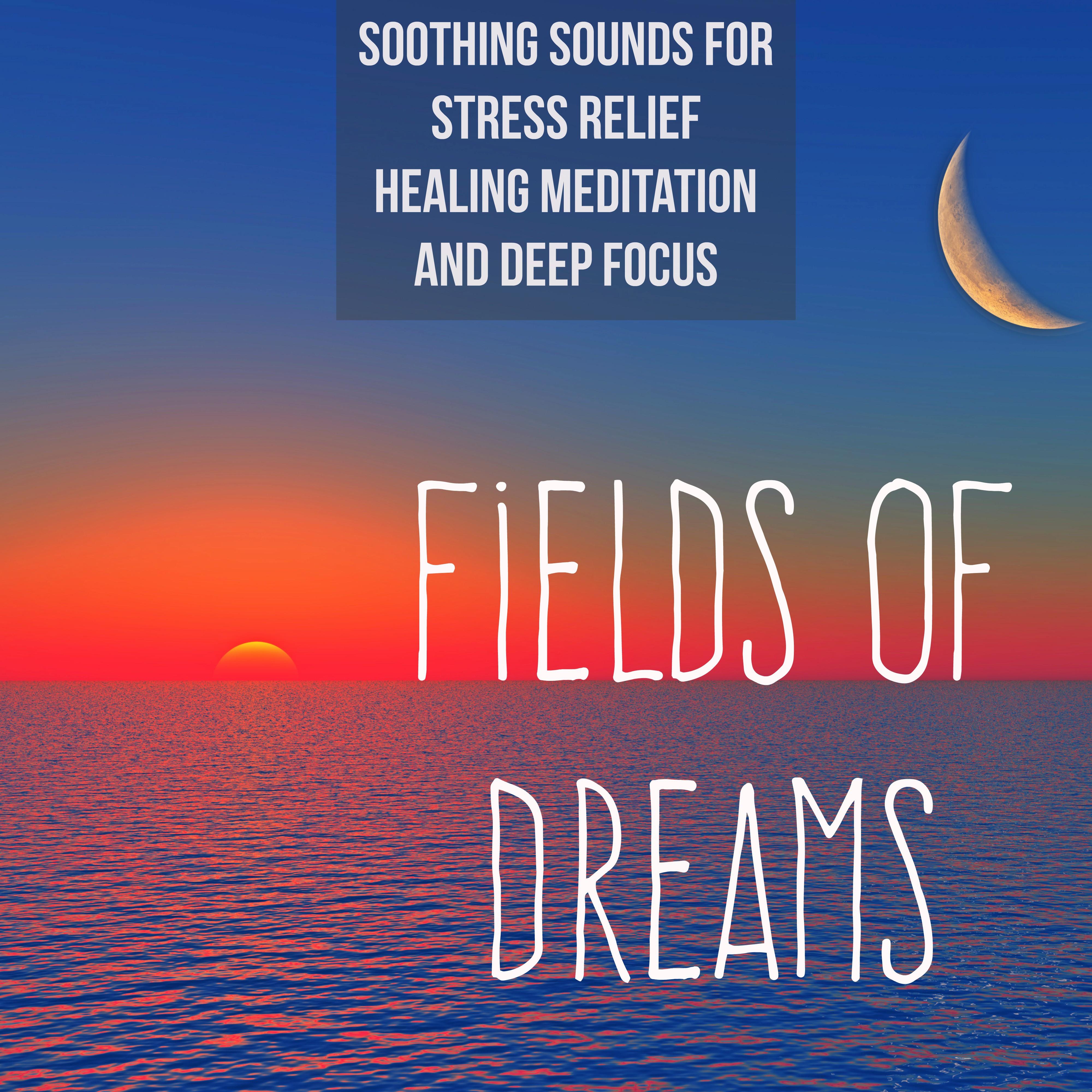Free Spirit (Mindfulness Meditation Song)
