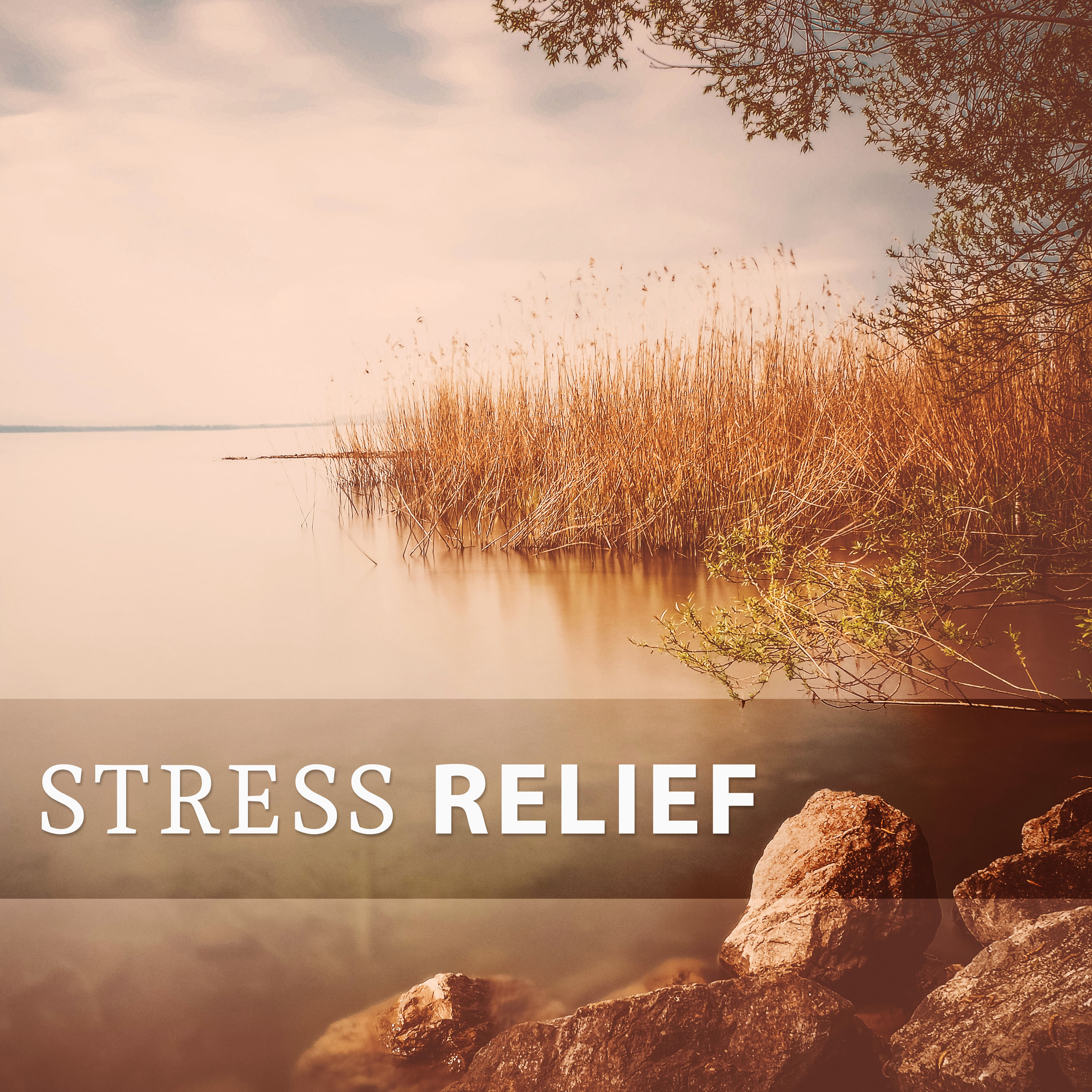 Stress Relief – Calm & Relaxing Music, Soft Sounds to Relax, Keep Calm, Chill All Day