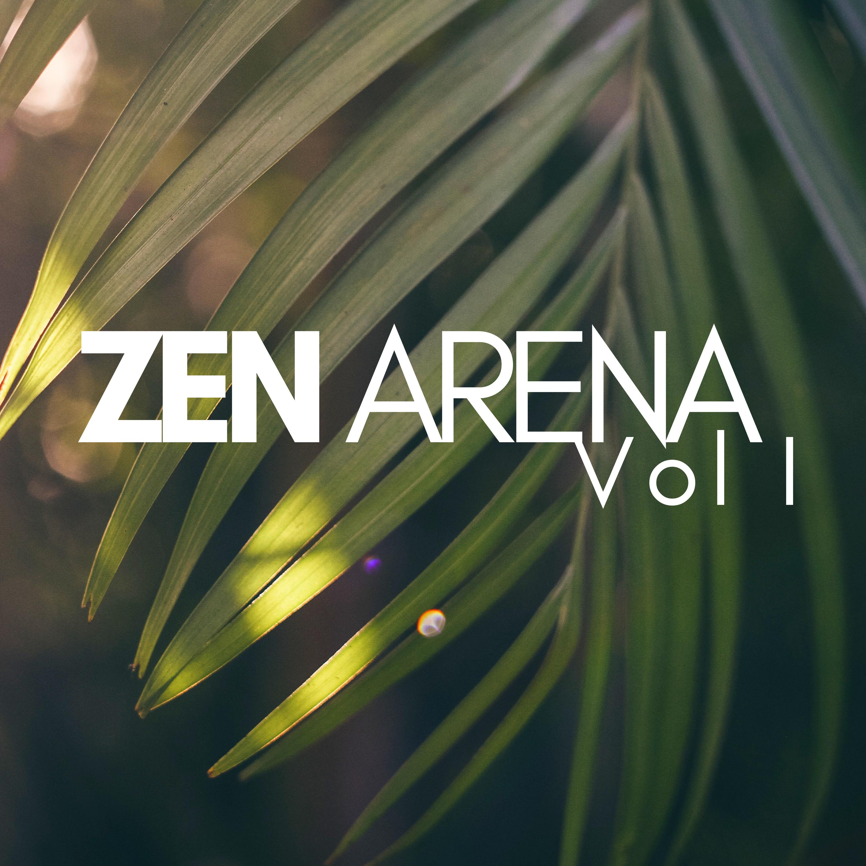 Zen Arena Vol I - New Age Relaxation