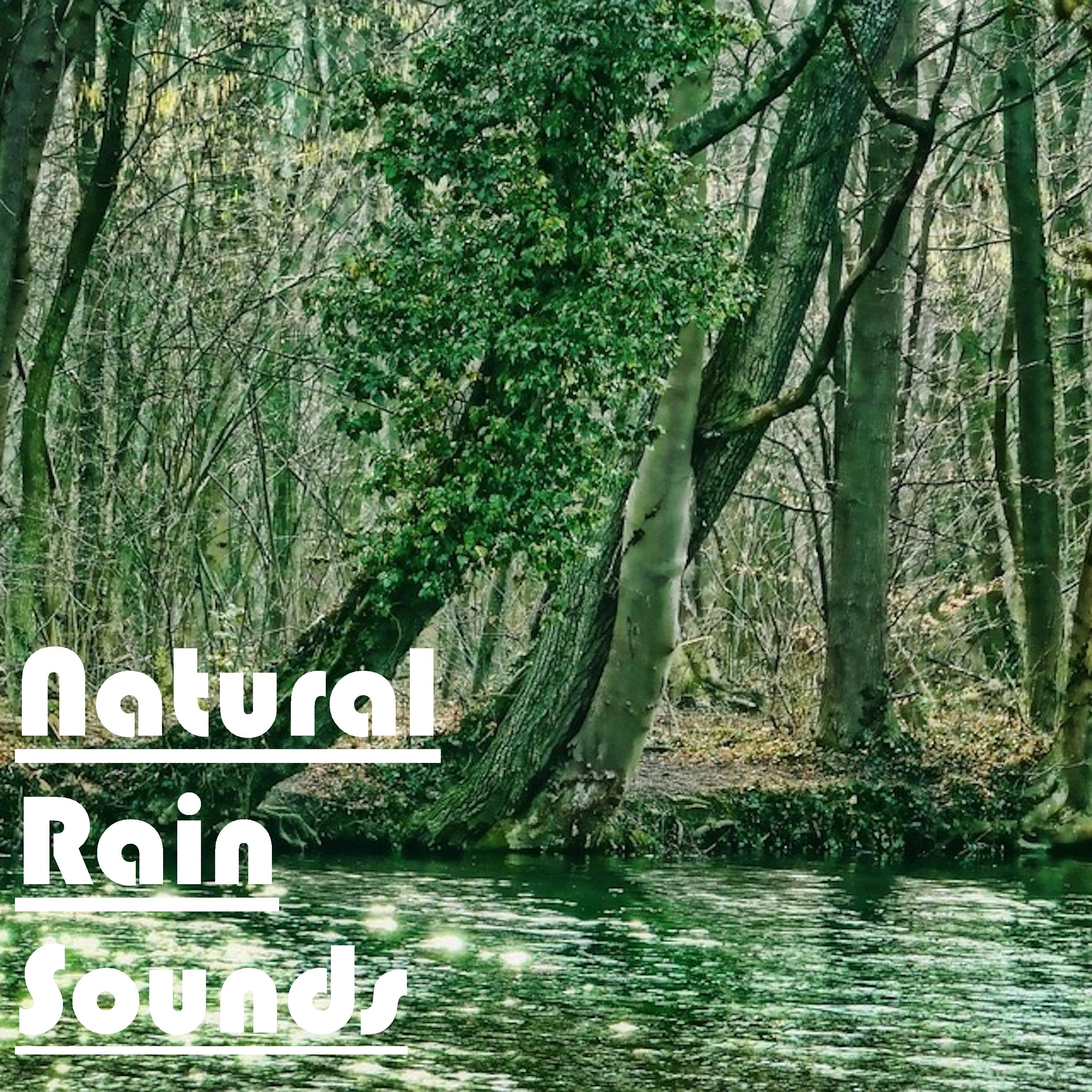 18 Beautiful, Natural Rain Sounds - Drift Off, Study, Baby Sleep Aid