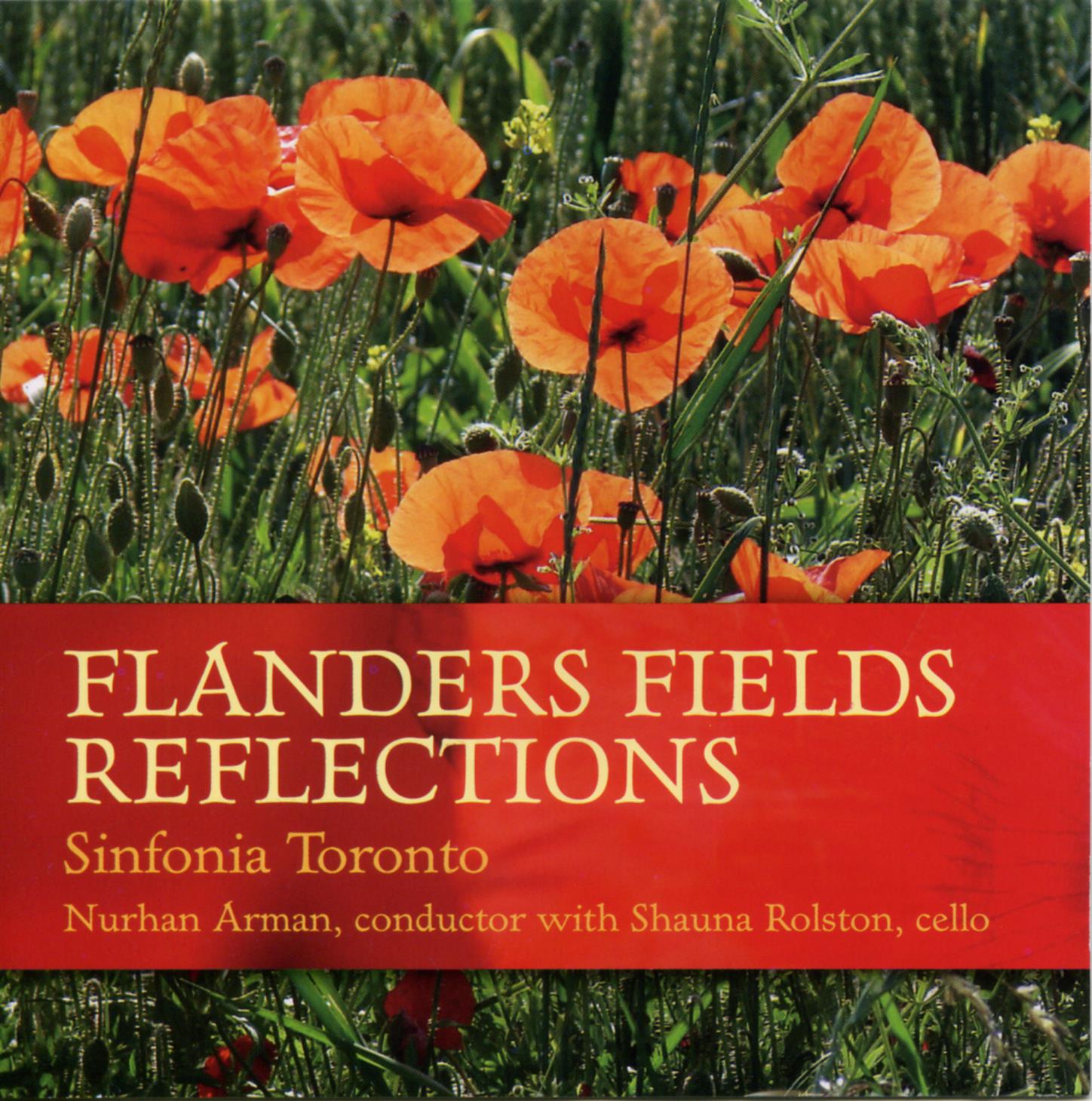 Flanders Field Reflections - III - We Are the Dead