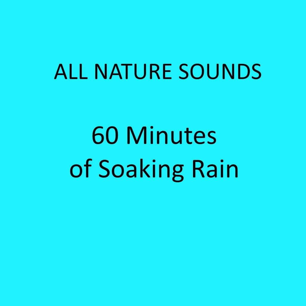 60 Minutes of Soaking Rain