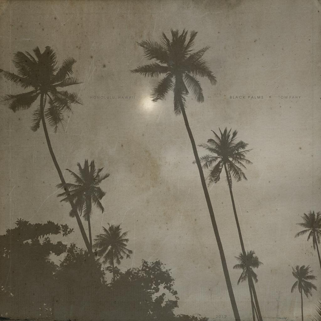 Black Palms