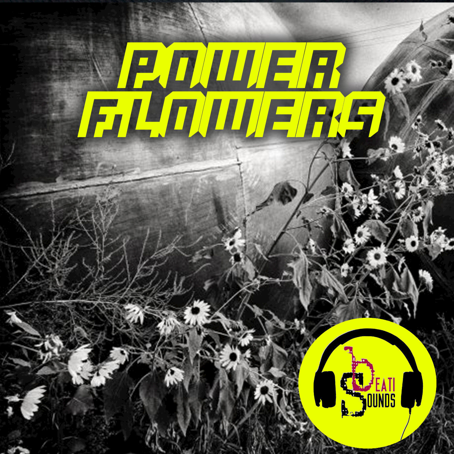 Power Flowers (Radio)