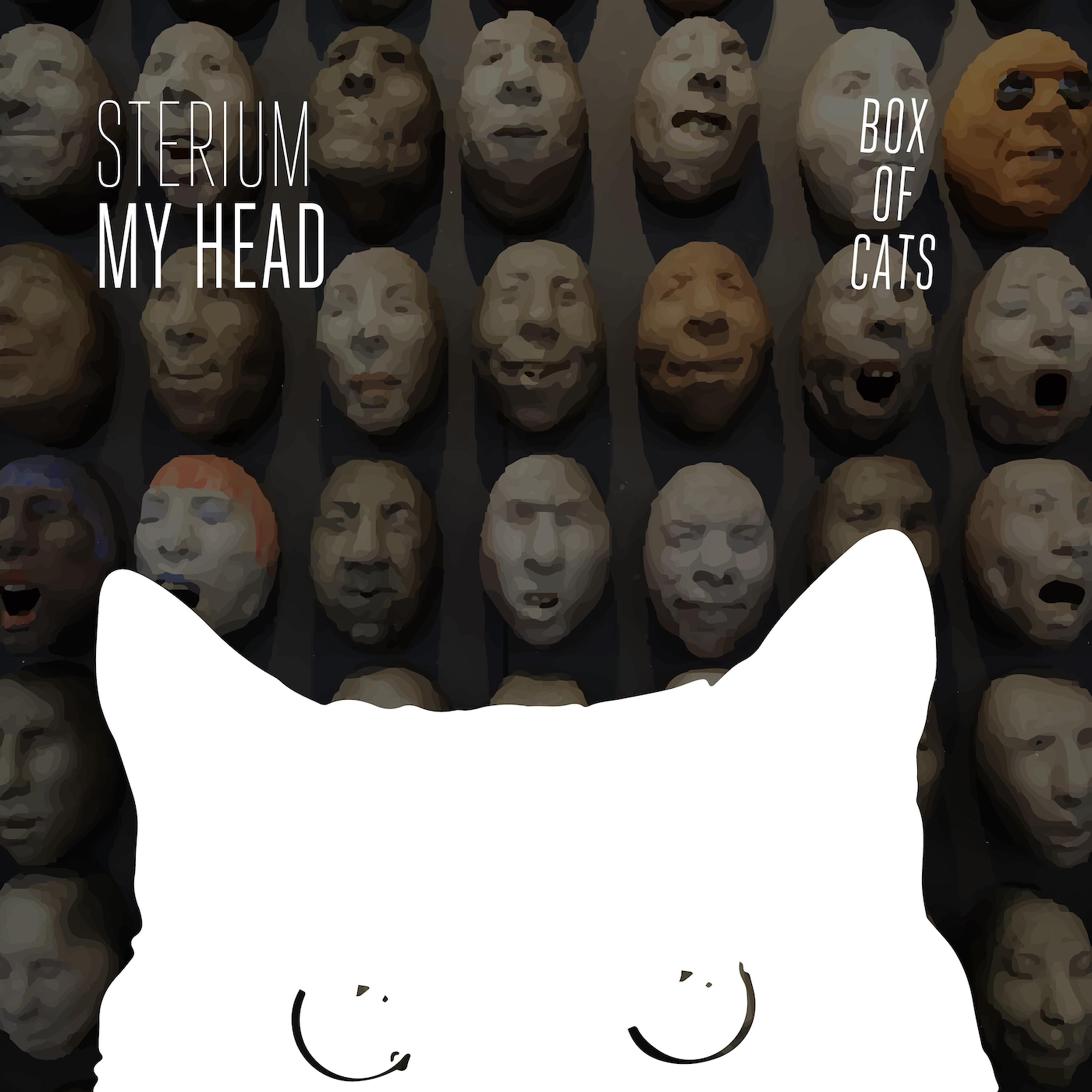 My Head / Broken