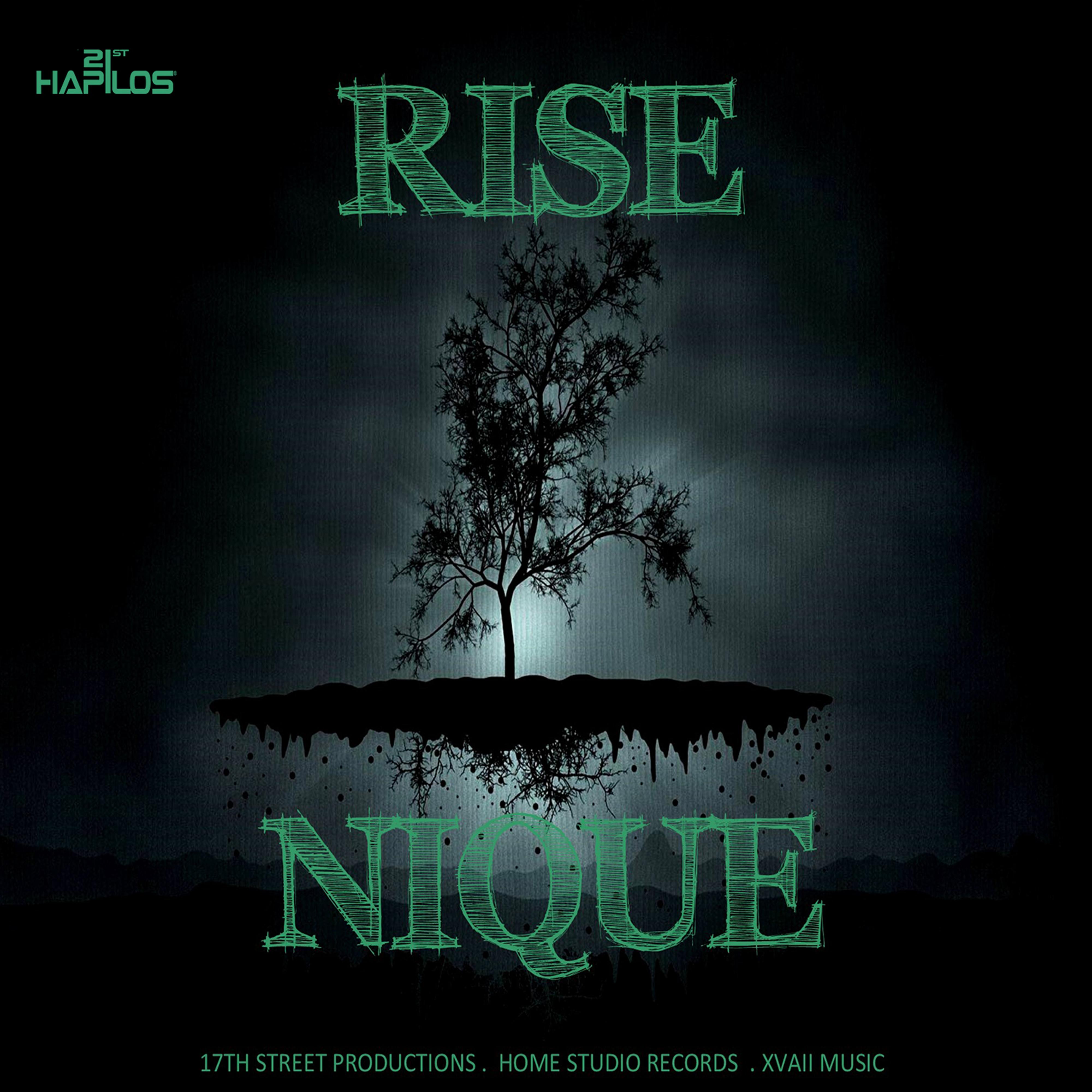 Rise - Single