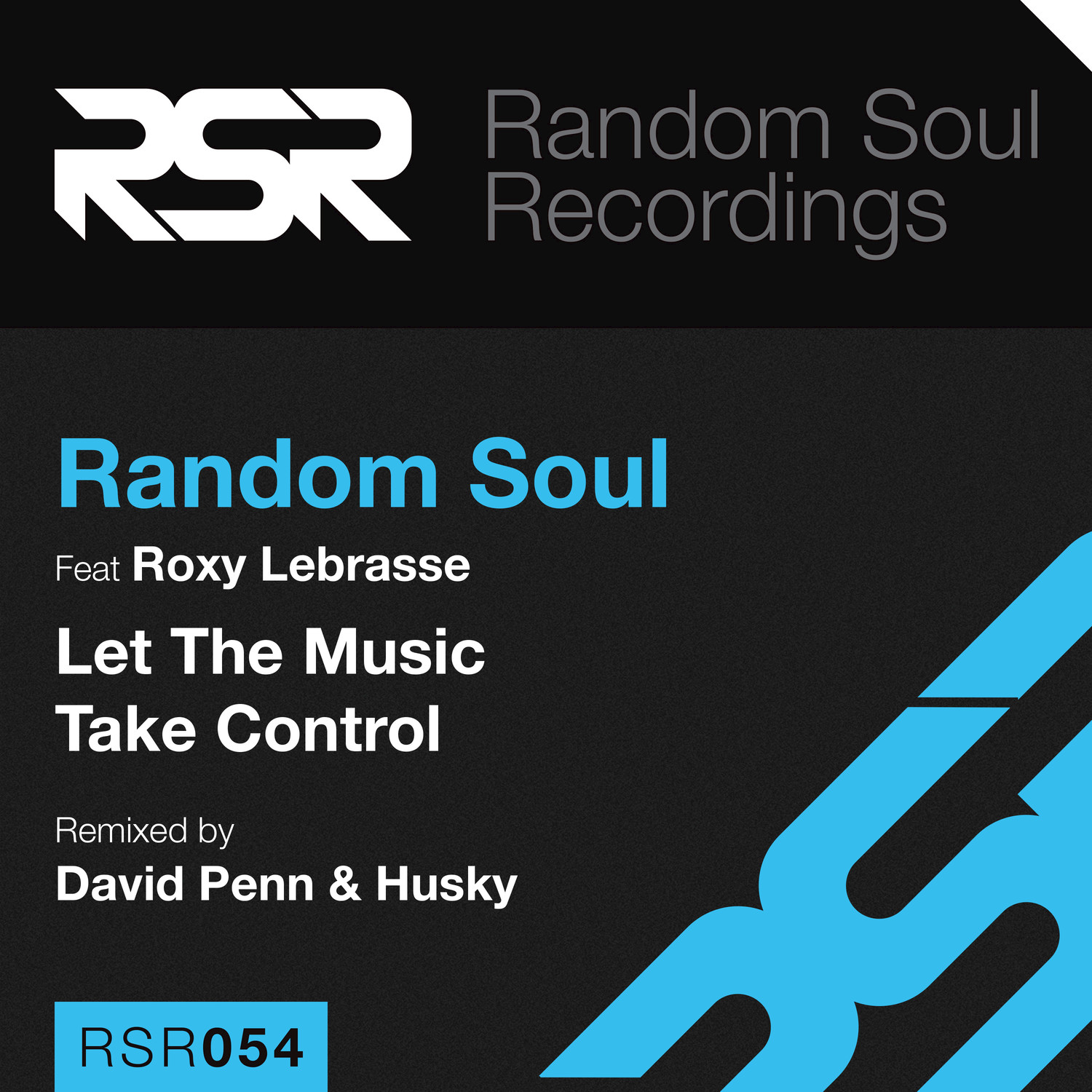 Let the Music Take Control (Random Soul's Disco Re-Invention)