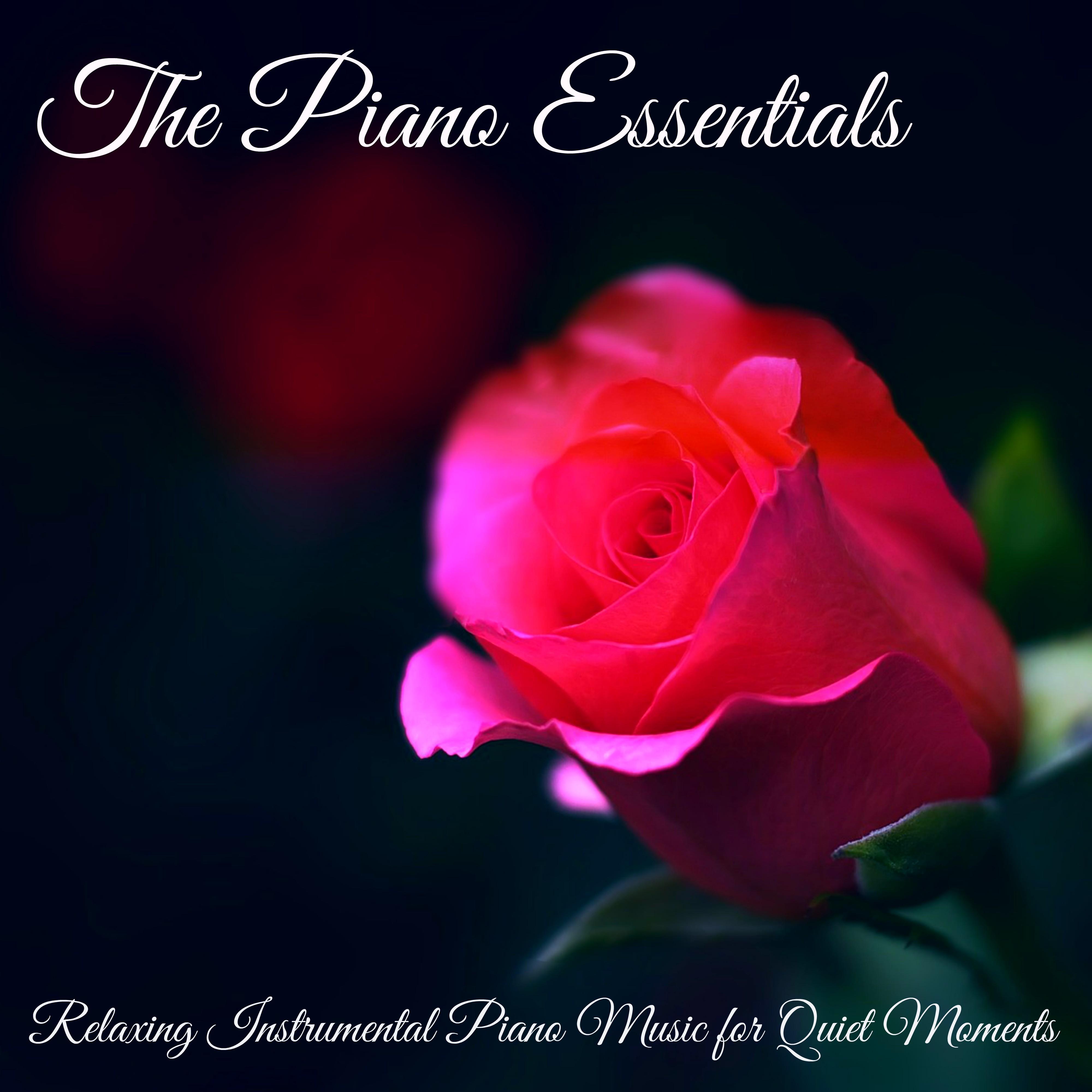 The Piano Essentials - Relaxing Instrumental Piano Music for Quiet Moments