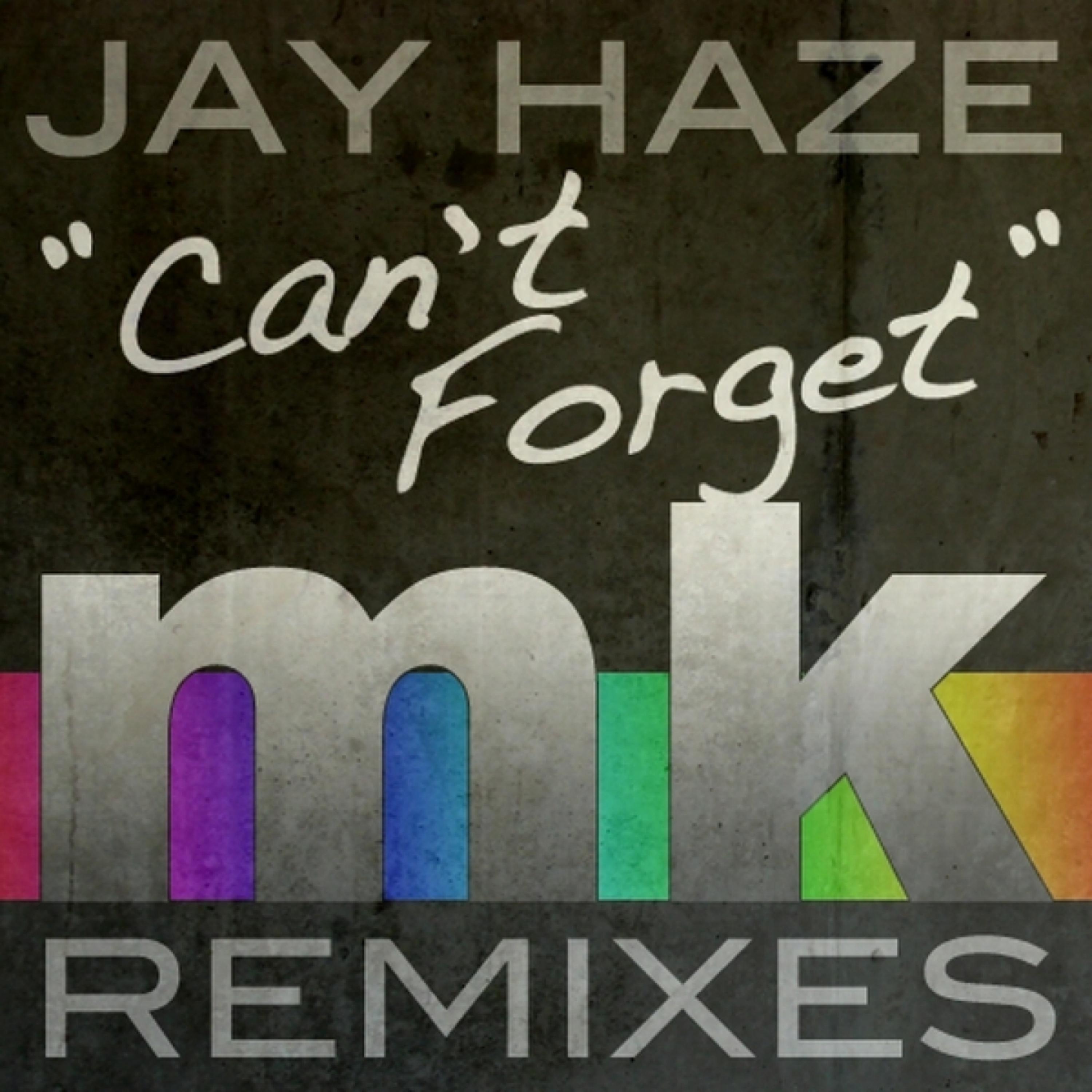 Can't Forget (MK's 2009 is Mine Remix)