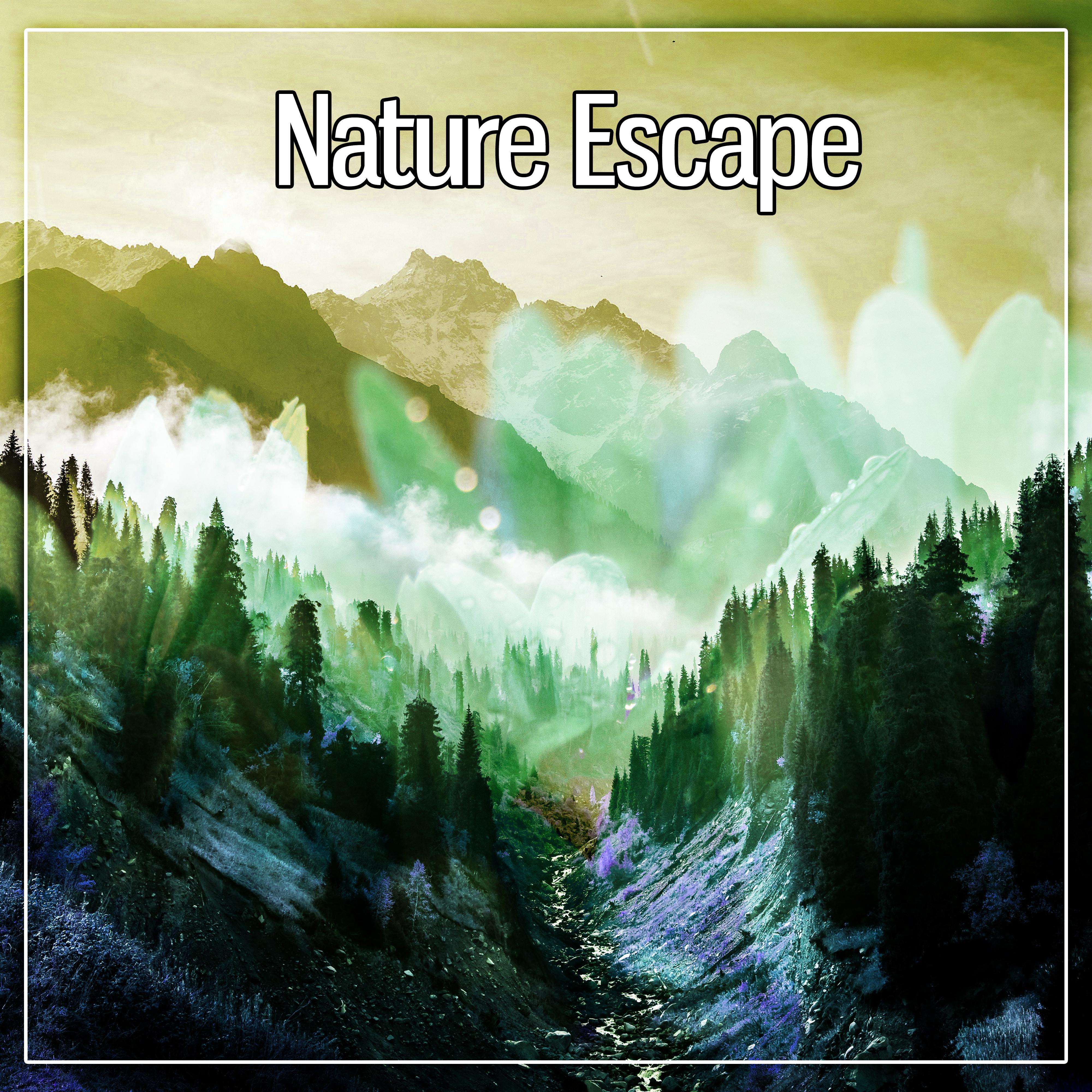 Nature Escape – Pure Relaxation, Lounge, Natural Ambience, Well Being