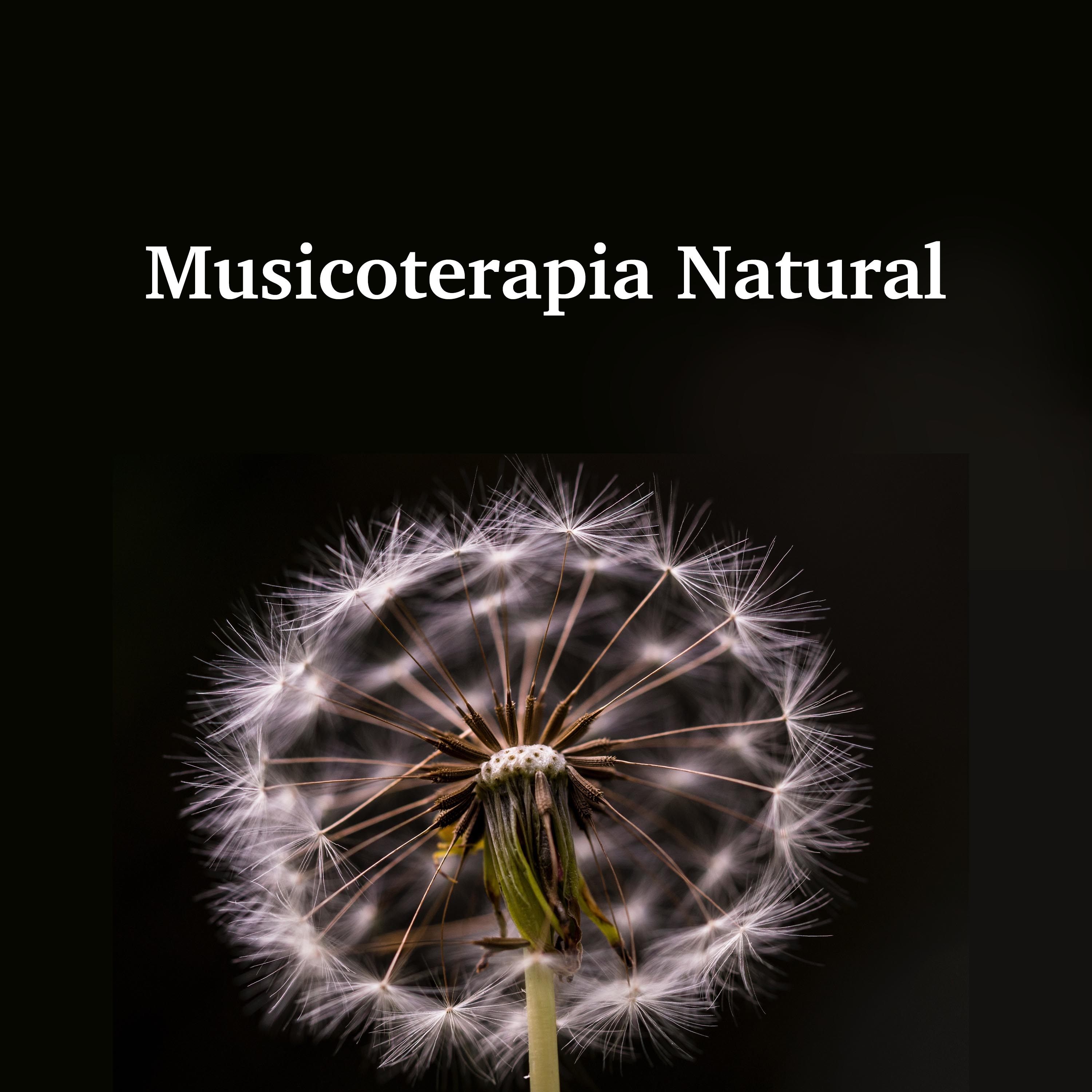 Musicoterapia Natural: Sonidos Sanadores de la Naturaleza (Lluvia, Olas del Mar, Canto de los Pájaros, Viento)