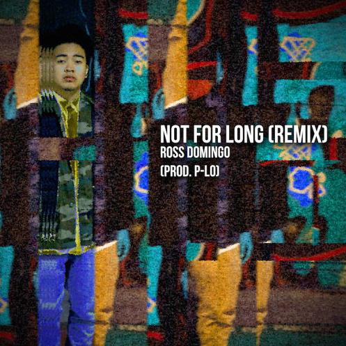 Not For Long (Remix)