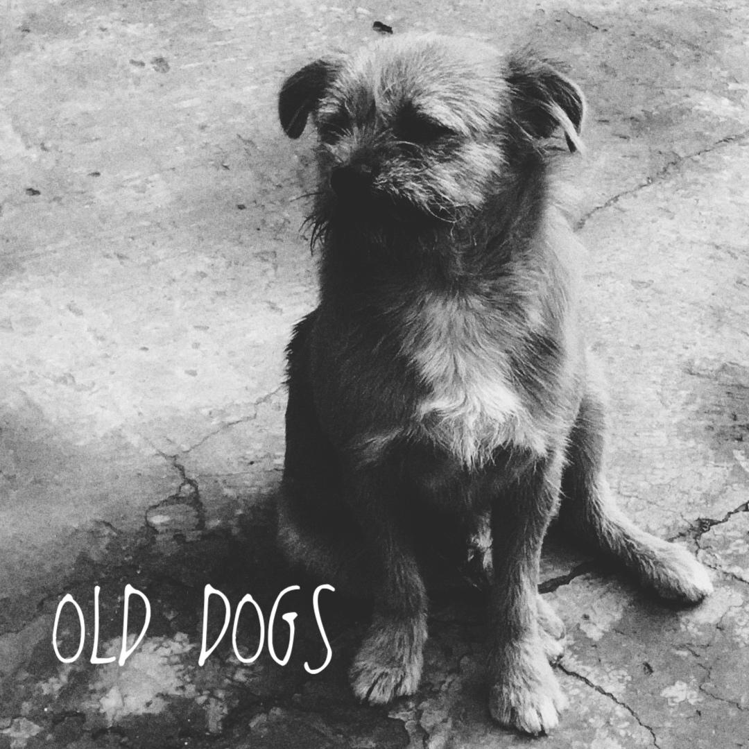 Old Dogs