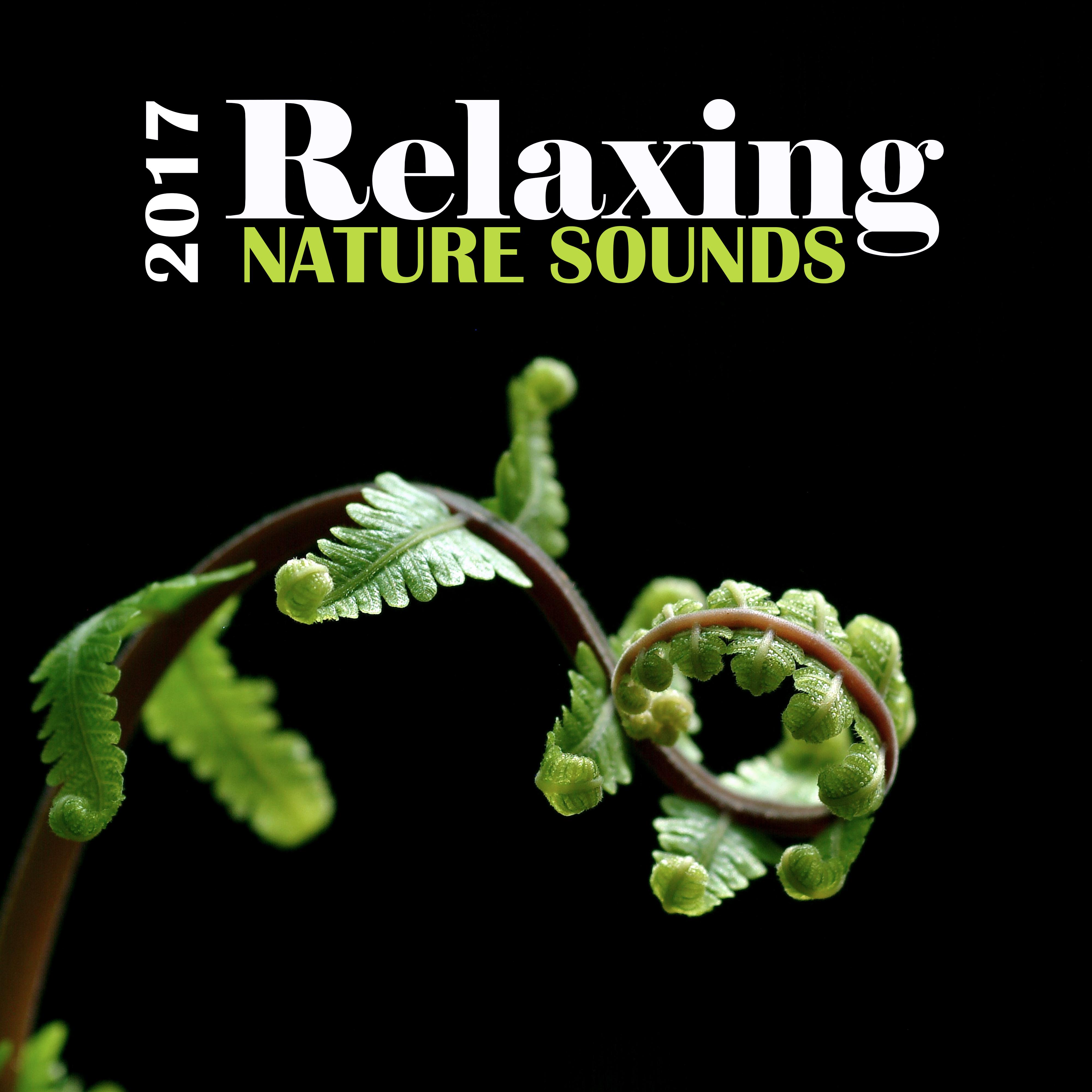 2017 Relaxing Nature Sounds