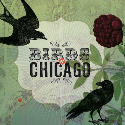 Birds Of Chicago