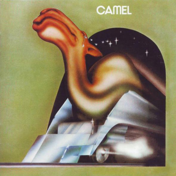 Camel