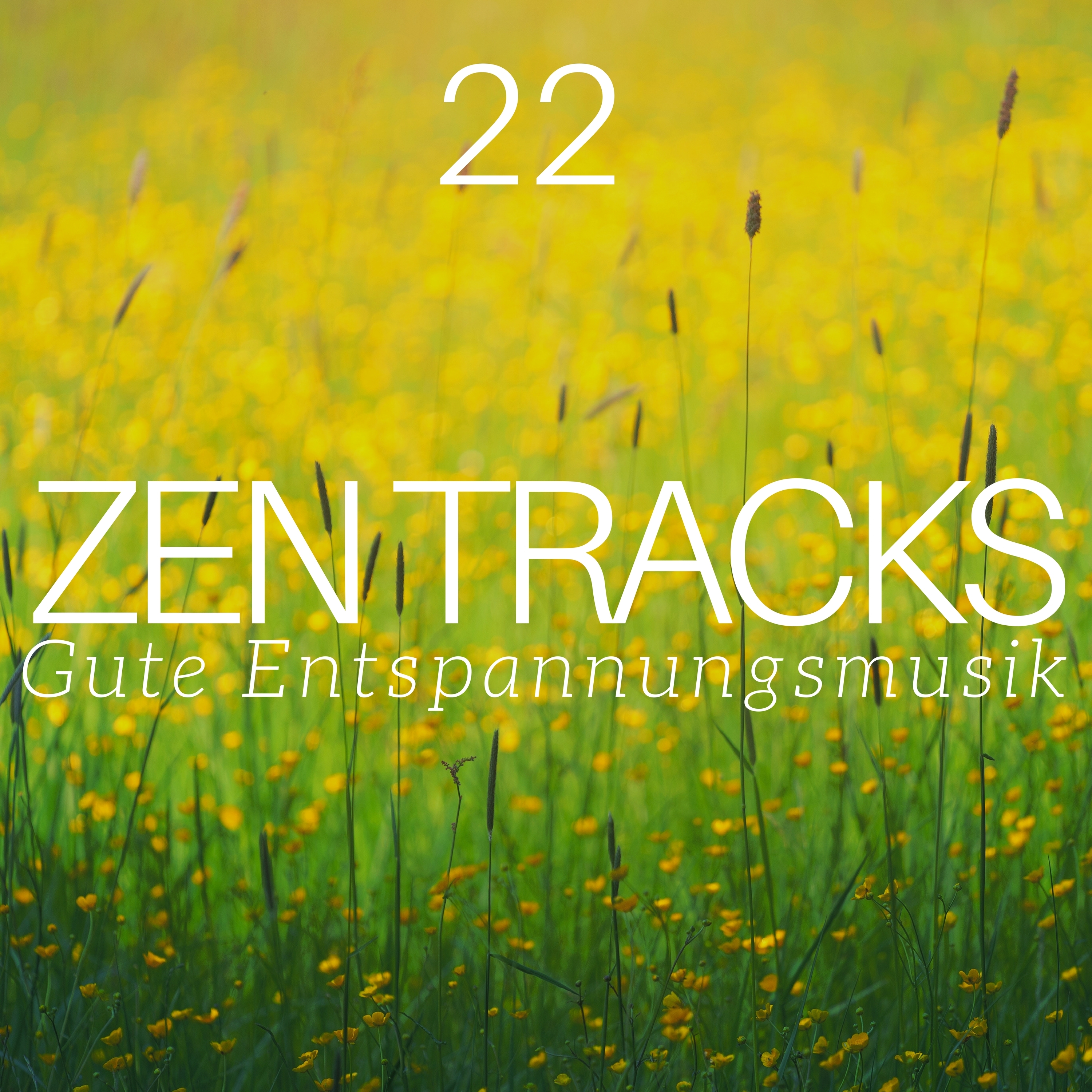 Zen Spa Musik