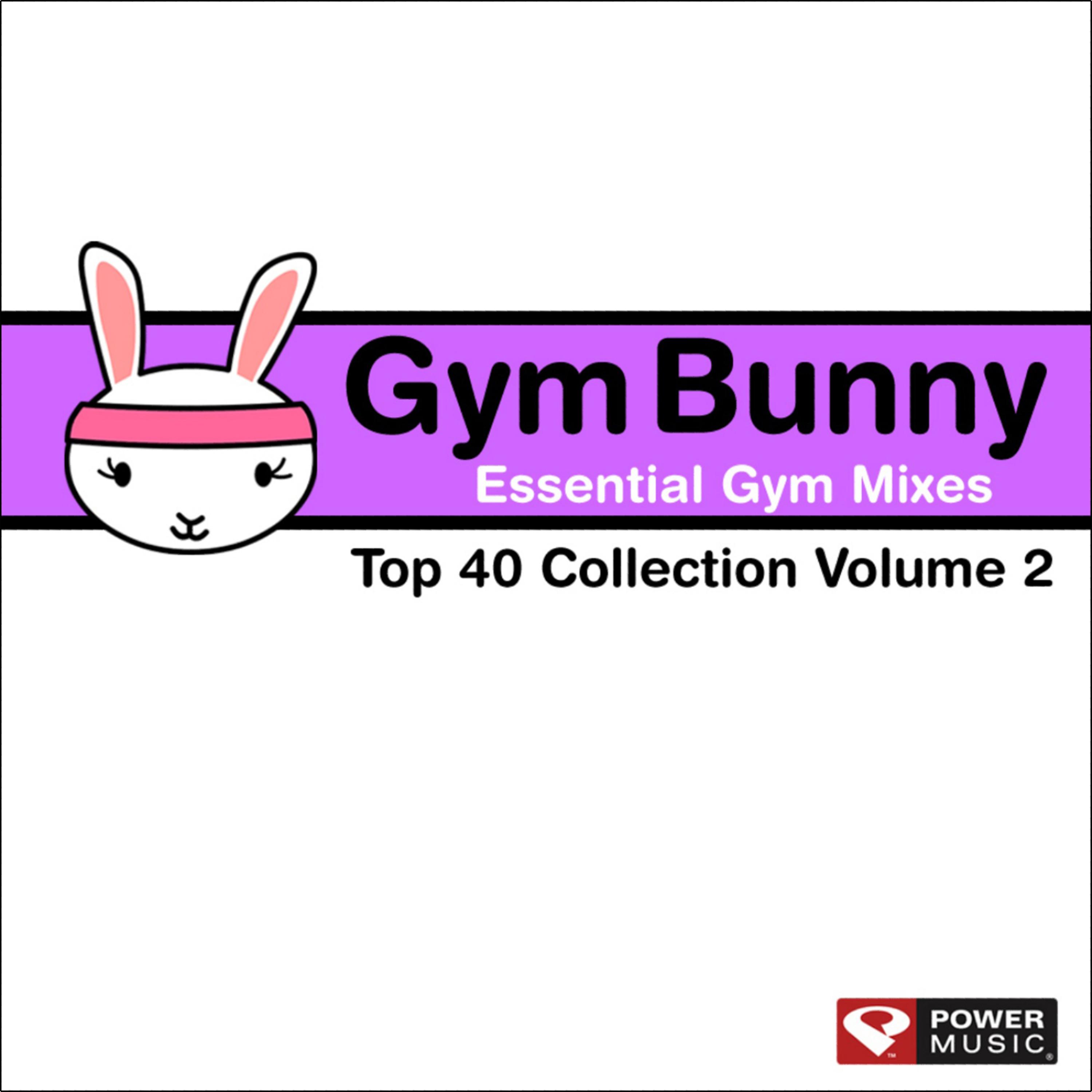 Gym Bunny Essential Gym Mixes Vol. 2 (Top 40 Collection: 130-140 BPM)