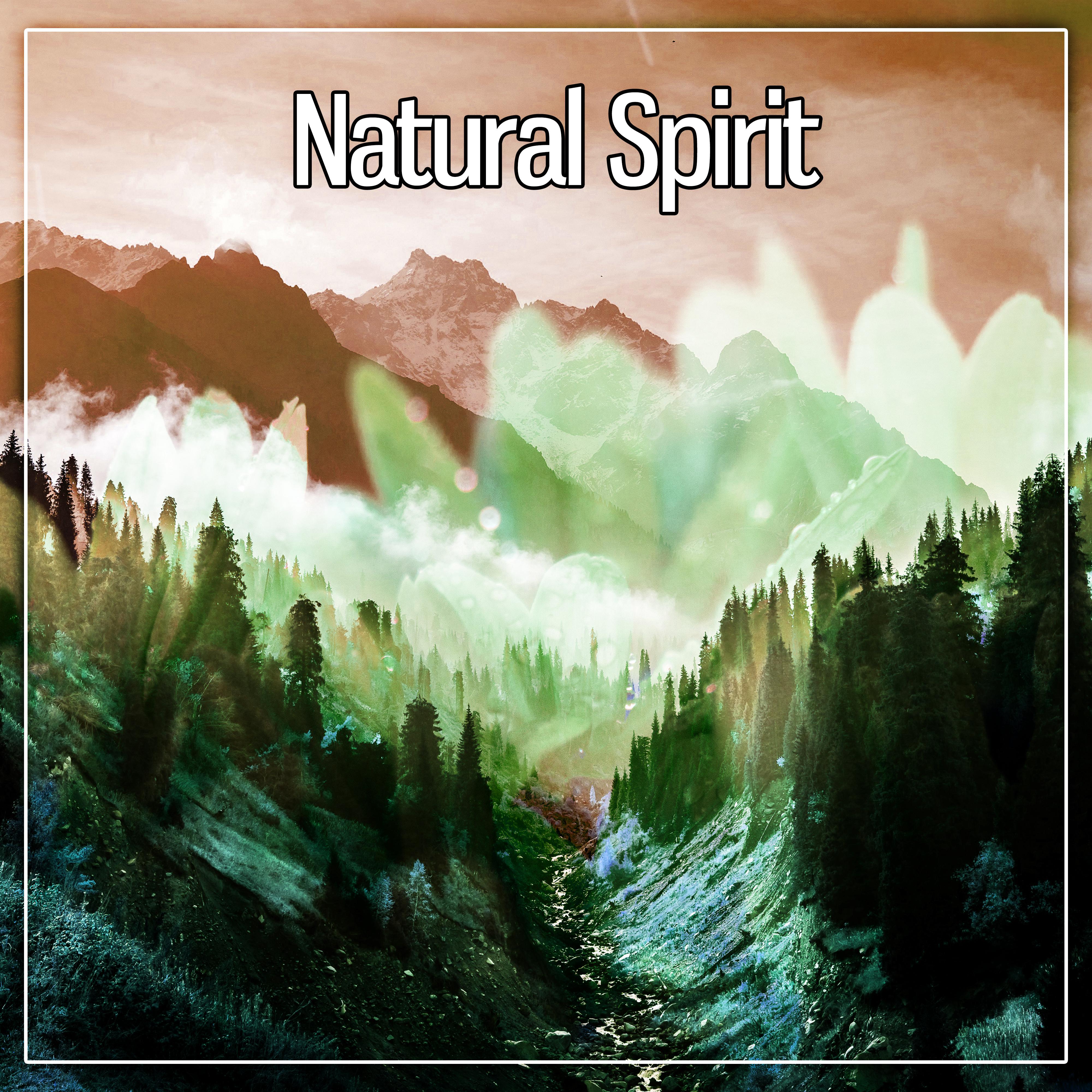 Natural Spirit – Cleanse the Spirit, Resting Sleep, Ambient, Waves Therapy, Serenity
