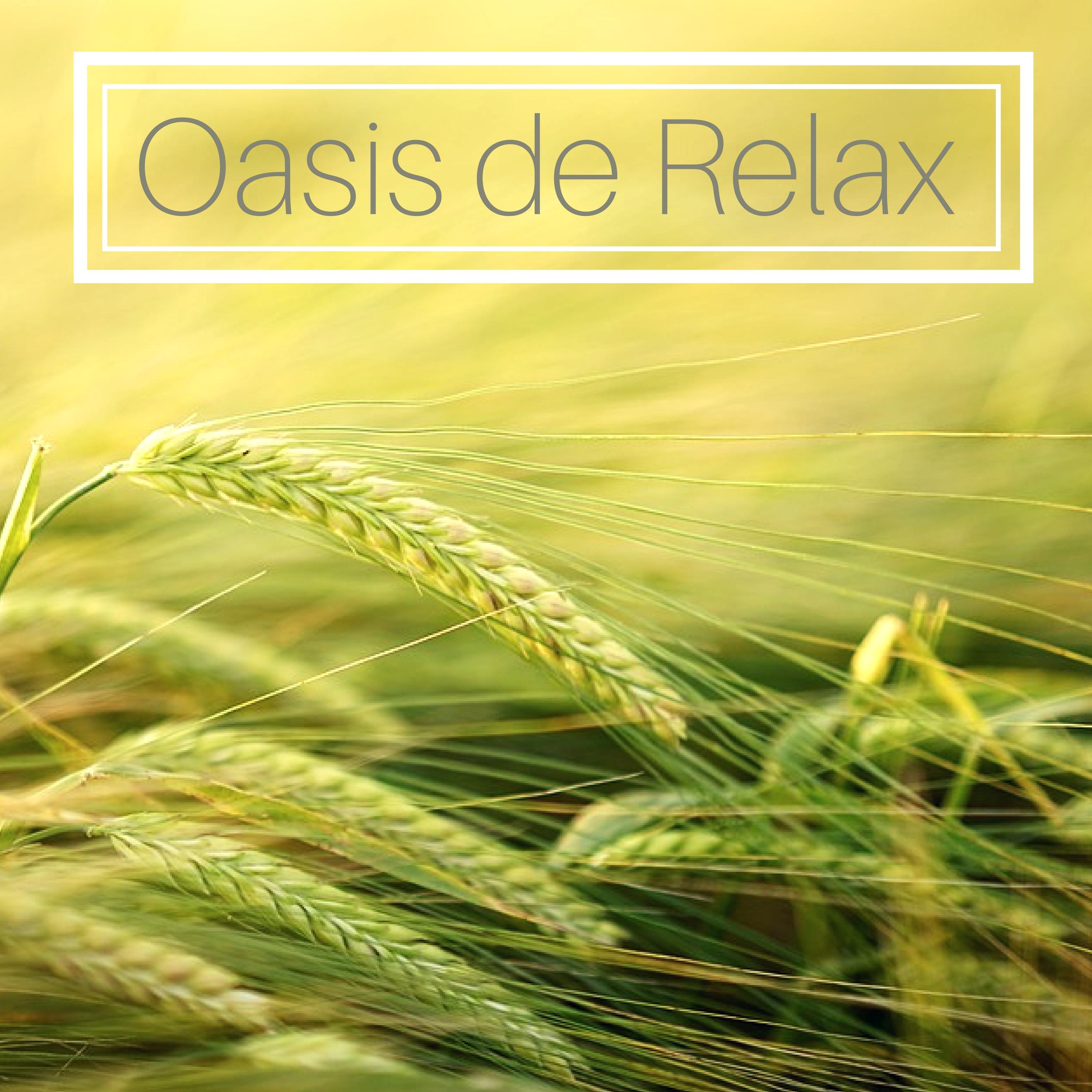 Oasis de Relax - Poder de la Mente, Canciones para Aumentar la Inteligencia y Desestresar