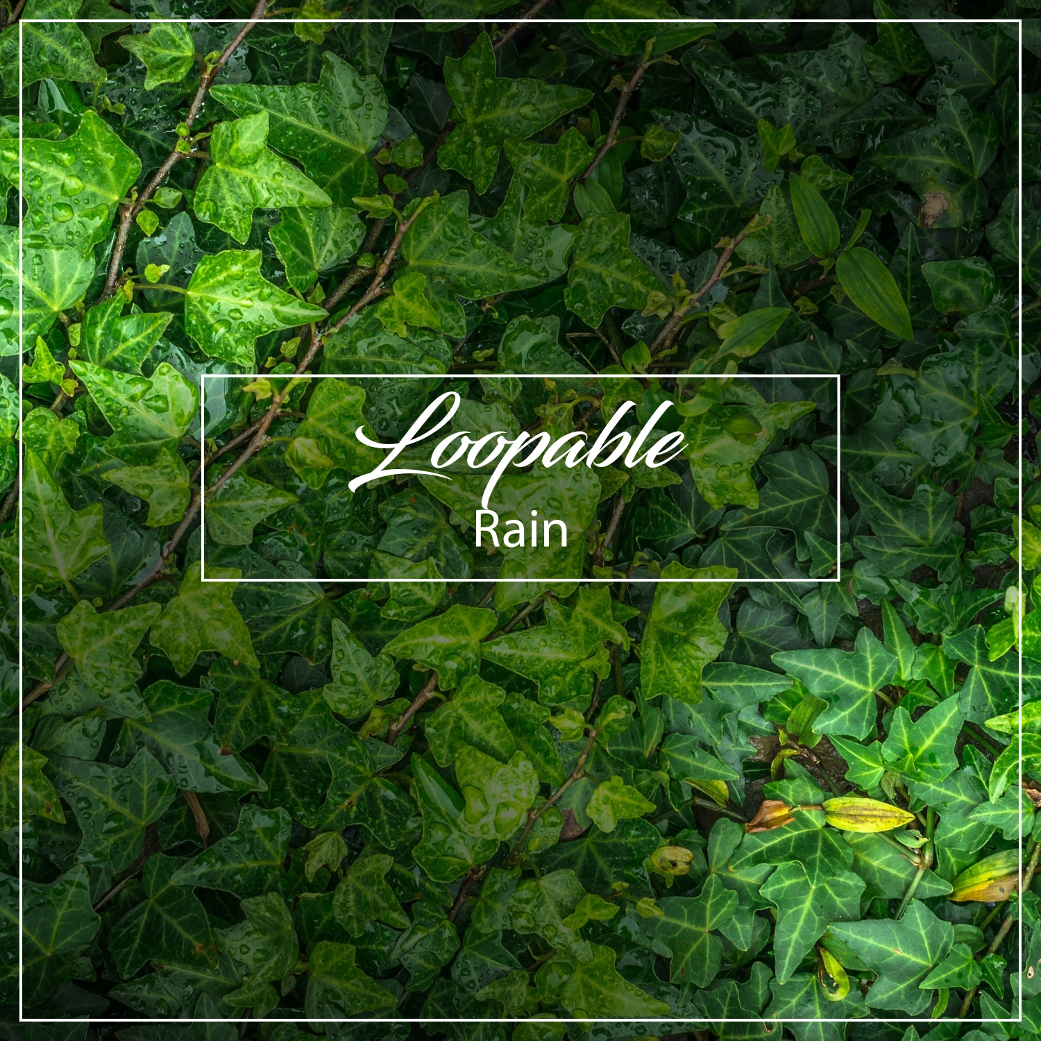 10 Loopable Tracks of Rain to Remove Stress and Relax