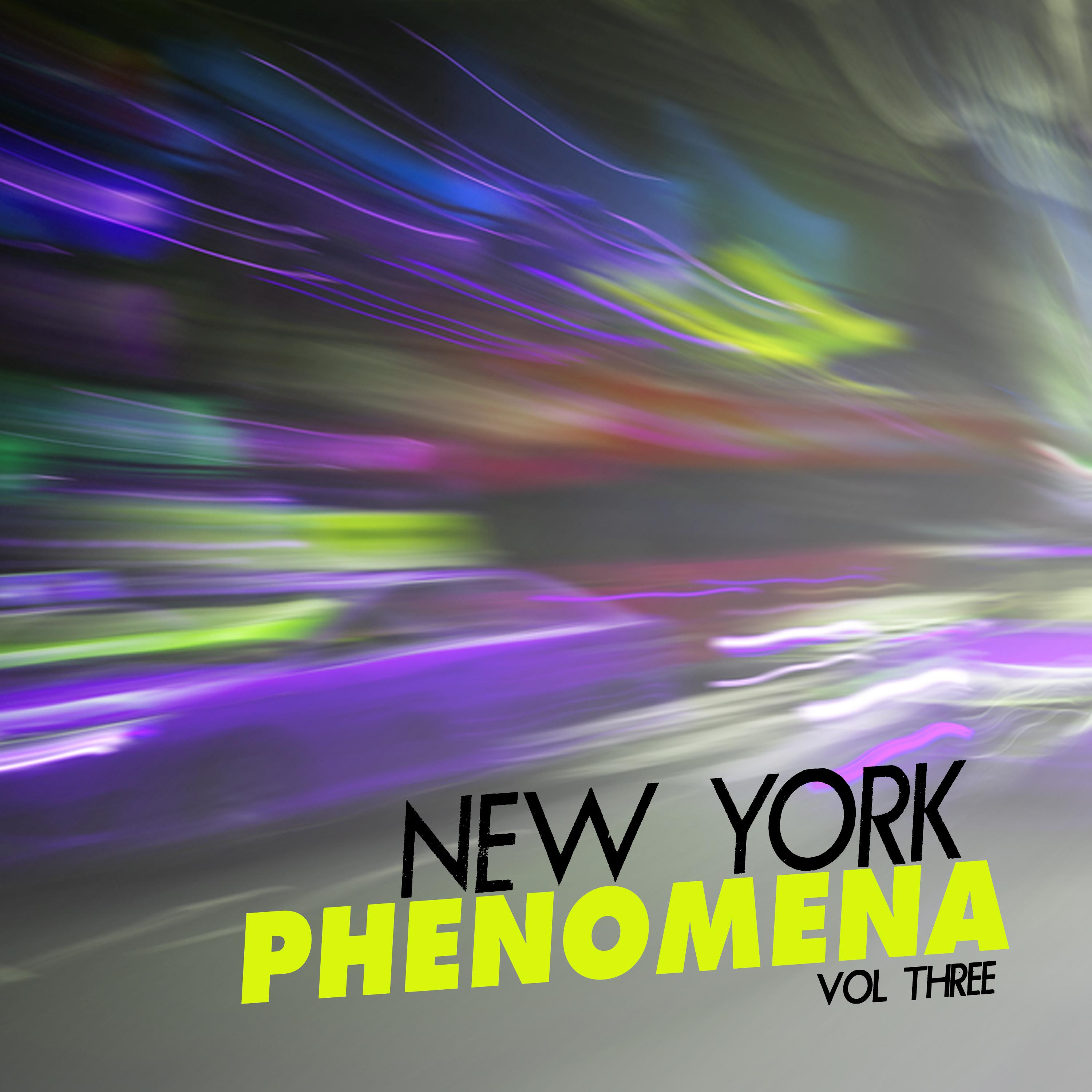 New York Phenomena, Vol. 3 - Selection of Deep House