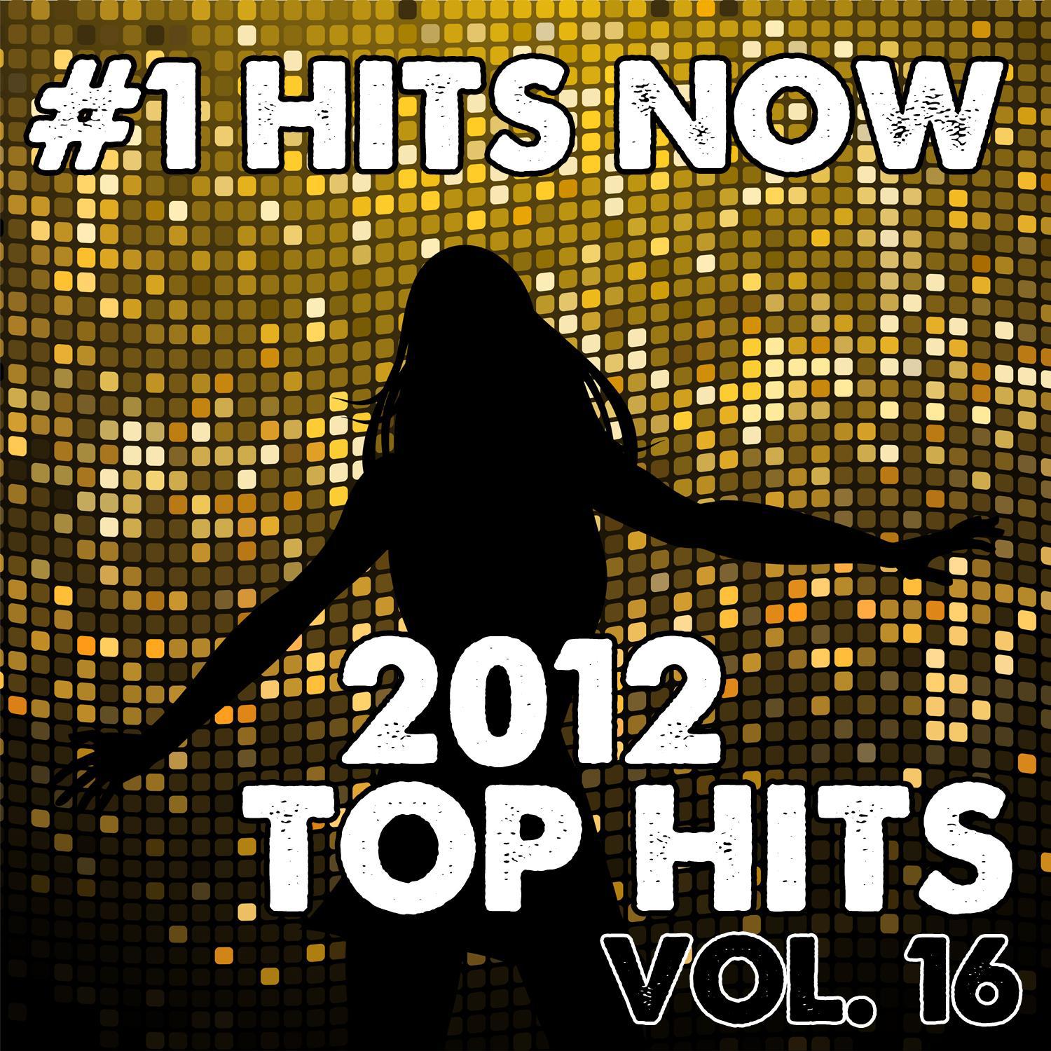 2012 Top Hits, Vol. 16
