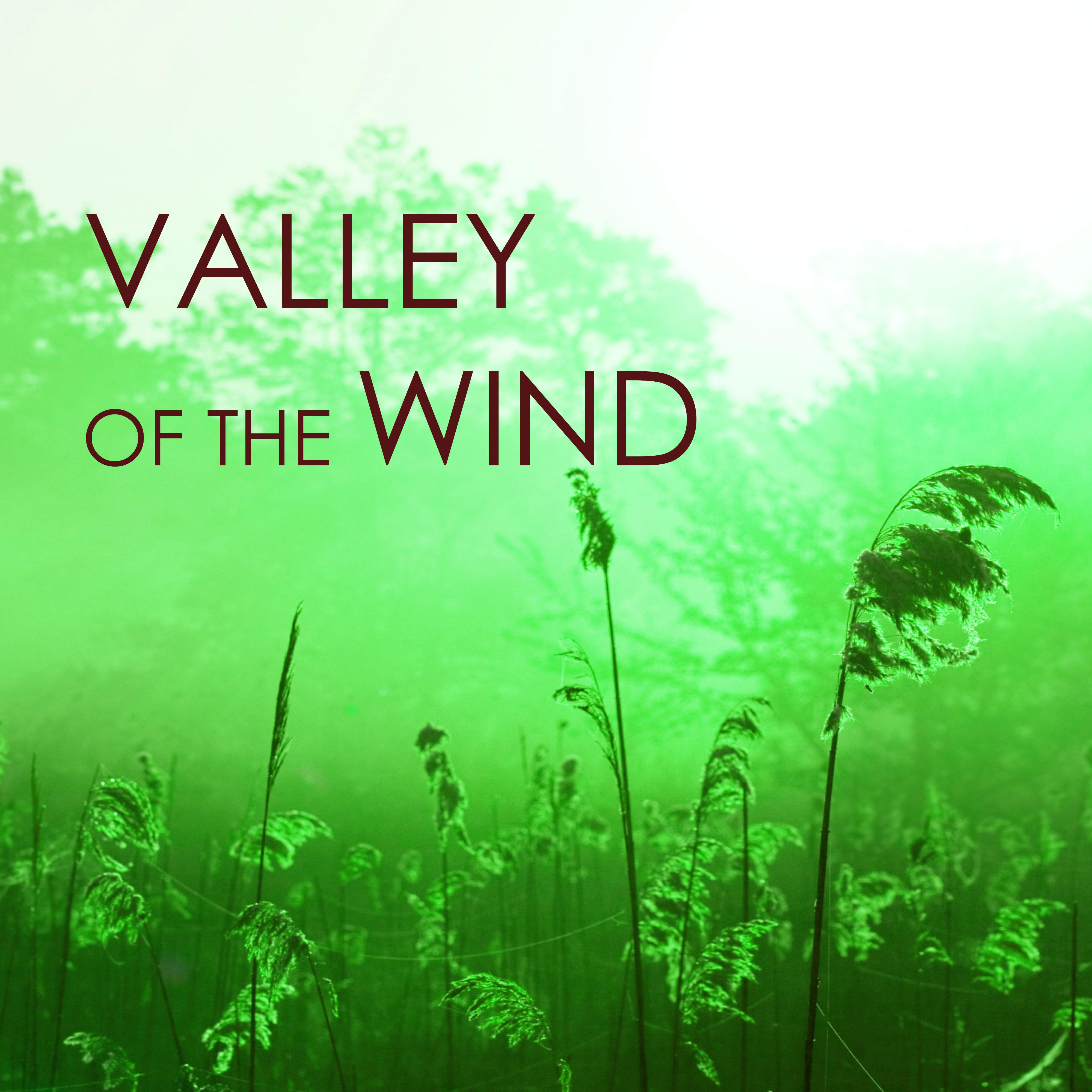 Valley of the Wind - Sounds of Nature Music for Reiki and Spiritual Massage Spa Background