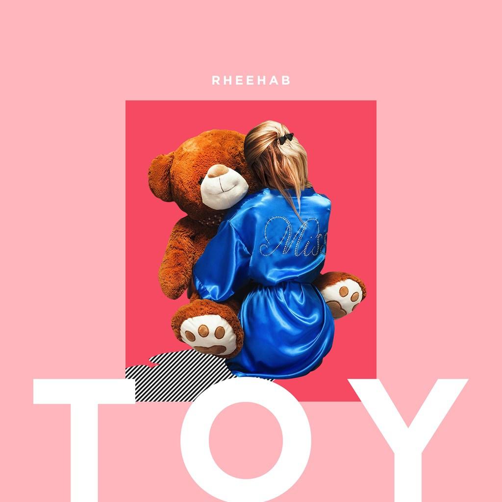 Toy