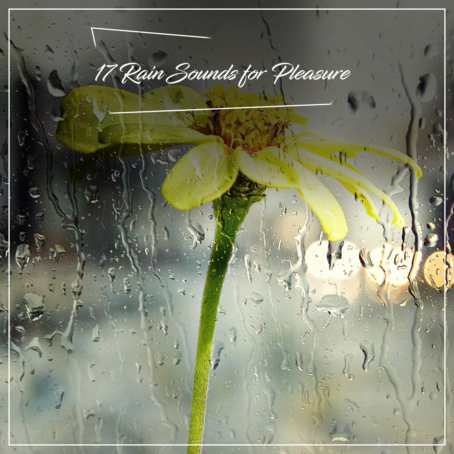 17 Rain Sounds for Pleasure - Relaxing Sounds of Rainfall