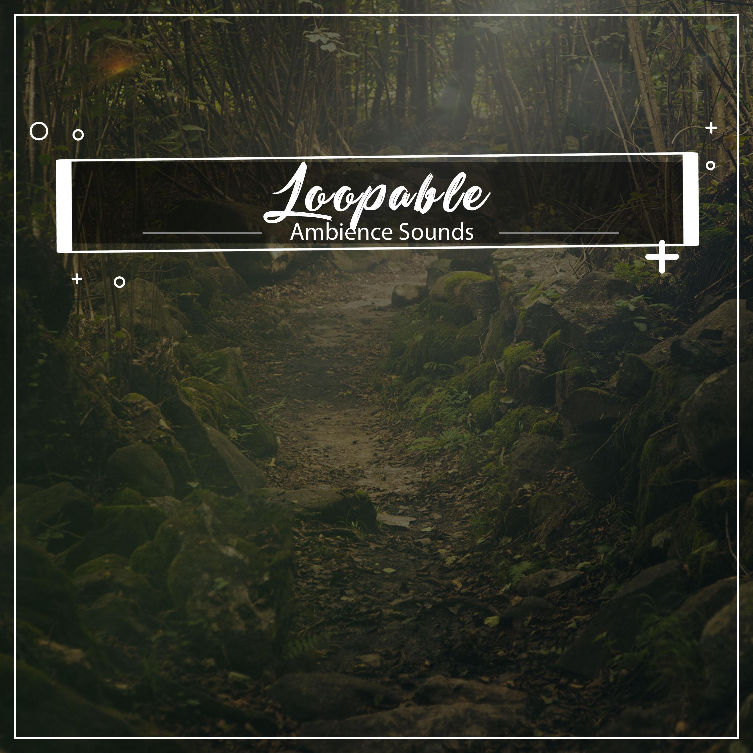 #16 Loopable Ambience Sounds to Free the Soul