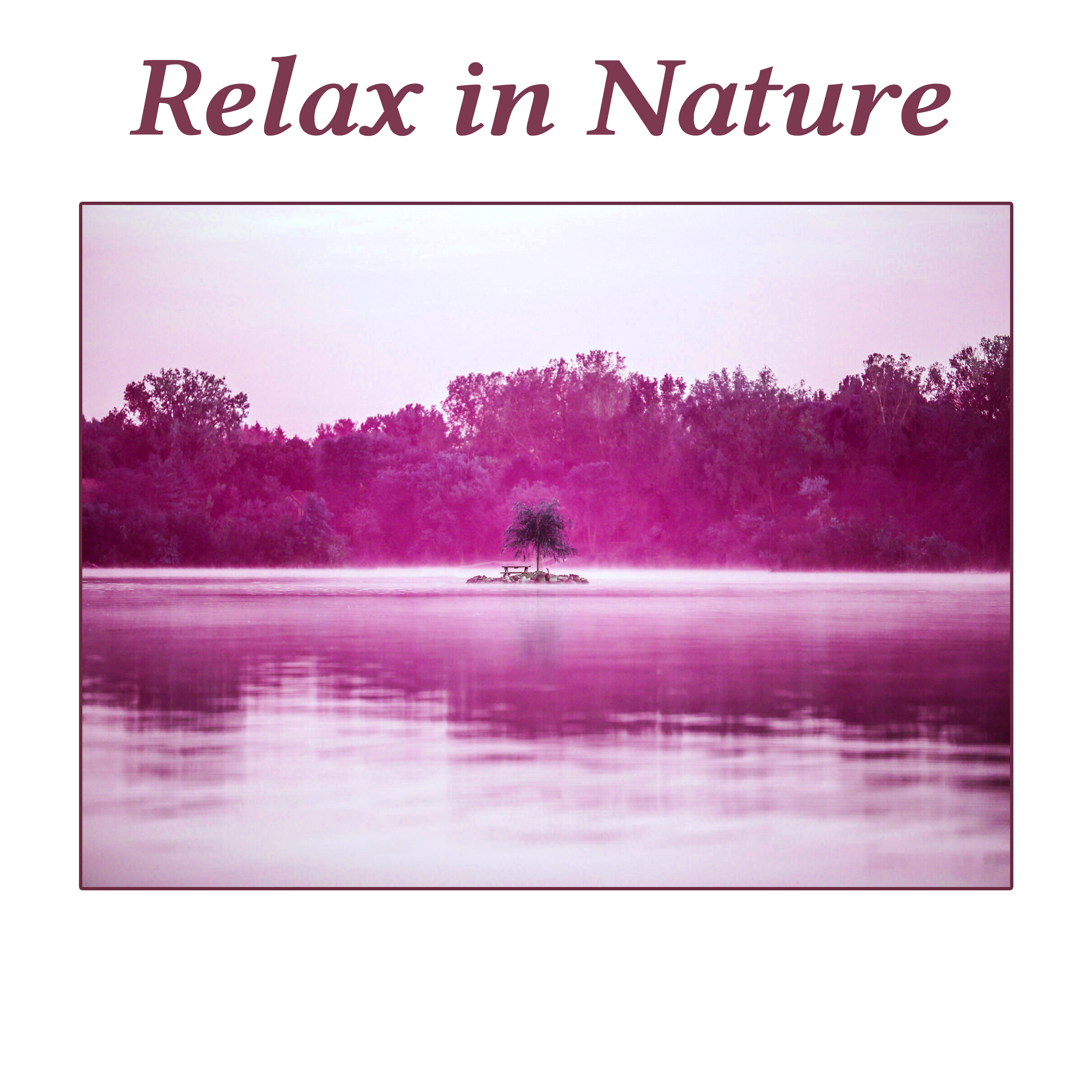 Relax in Nature – Beautiful Nature Sounds of Birds and Ocean Waves, Deep Relaxing Music, Peaceful Sounds of New Age Music for SPA, Wellness