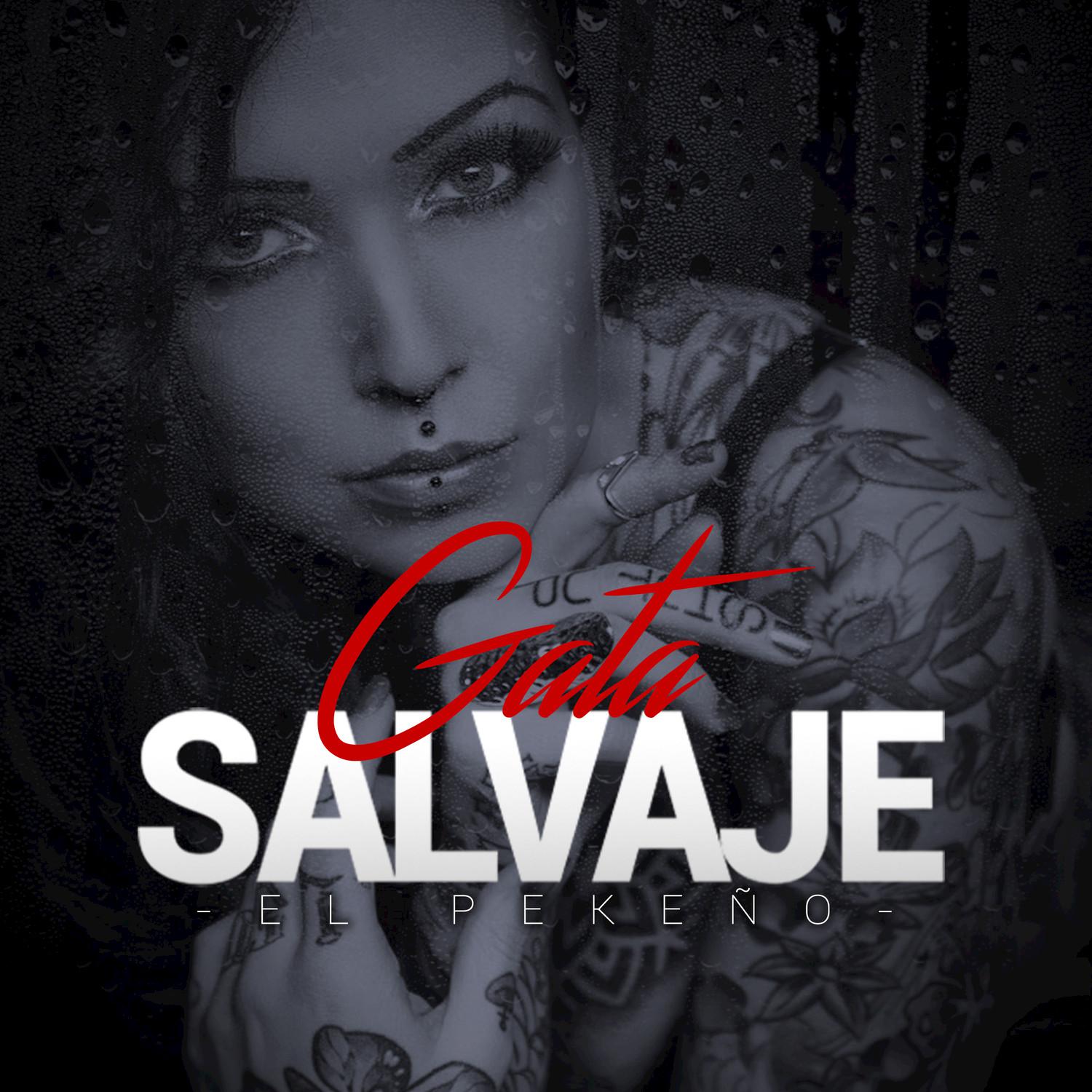 Gata Salvaje