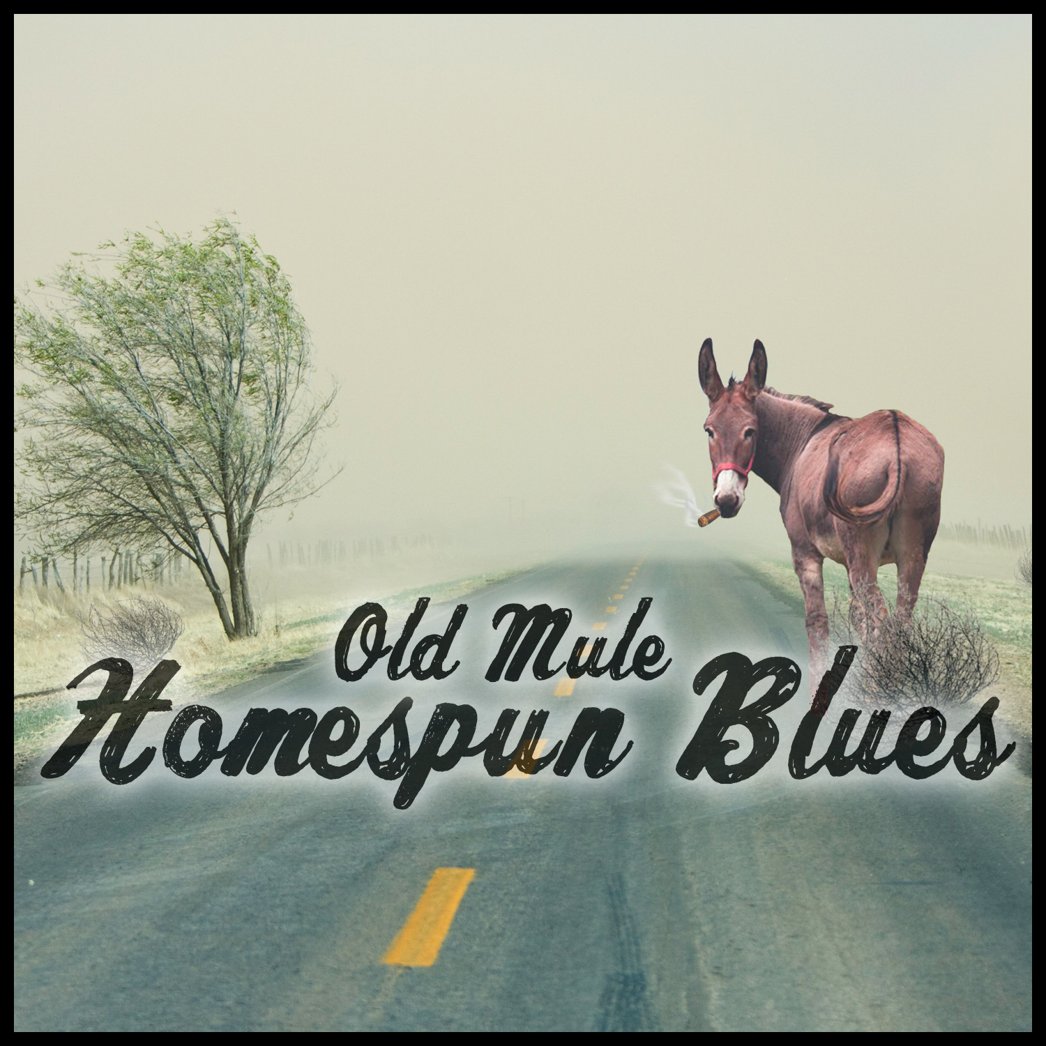 Homespun Blues - Single