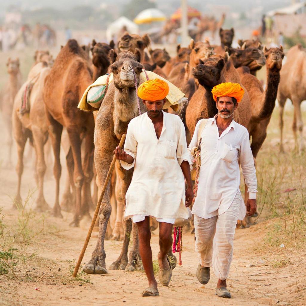 Streets Of Bollywood