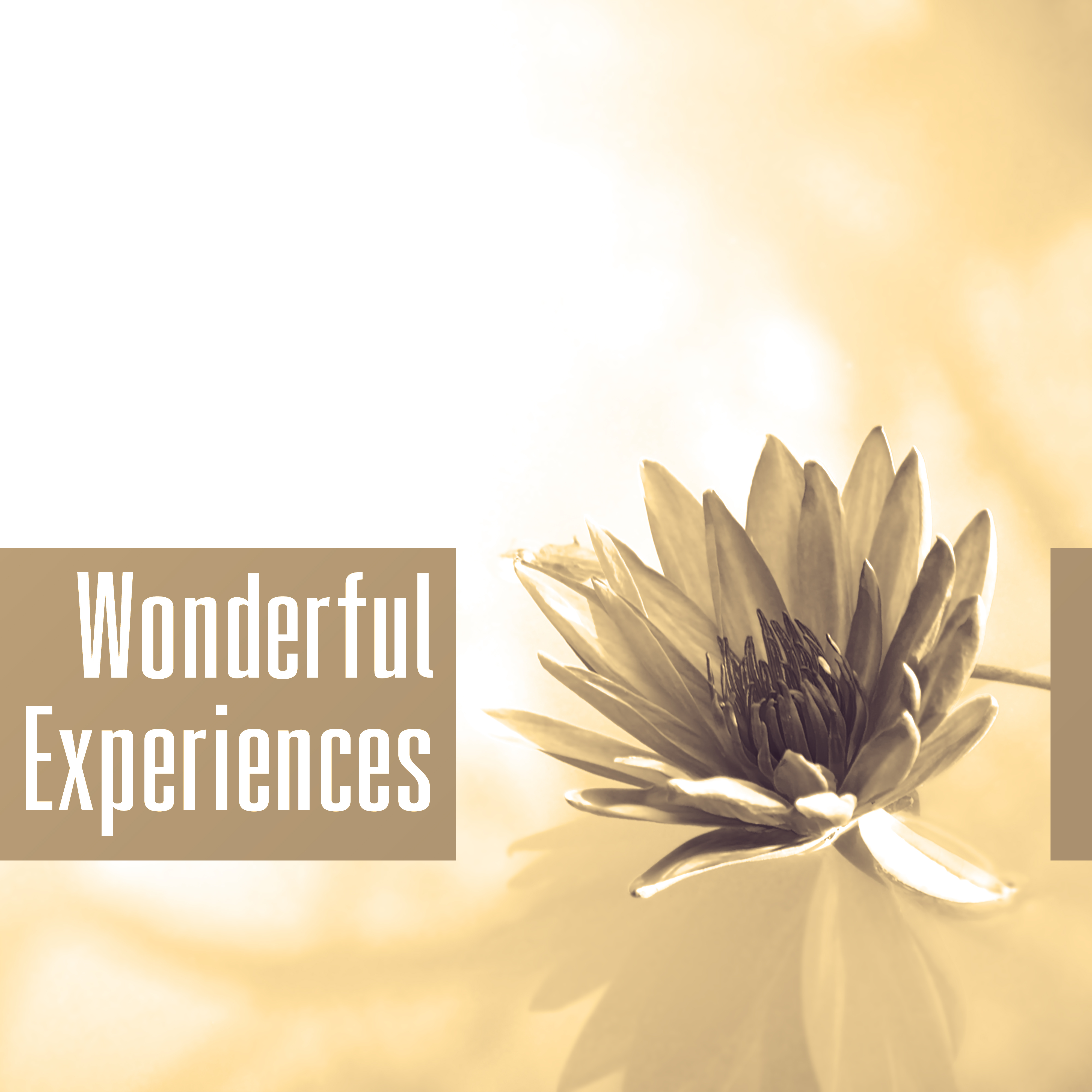 Wonderful Experiences – Gentle Massage, Nice Touch, Surrounding Nature