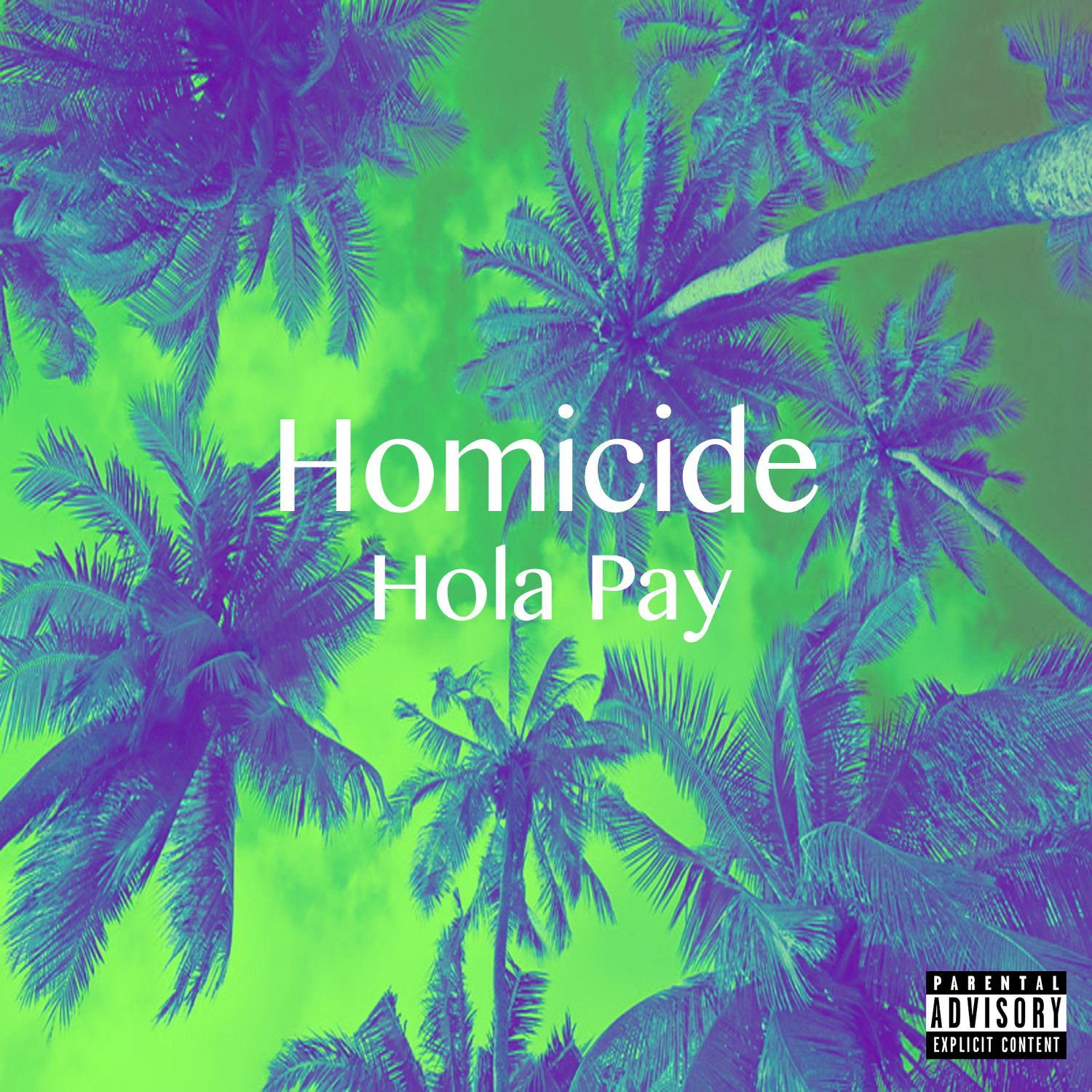 Homicide 1.1